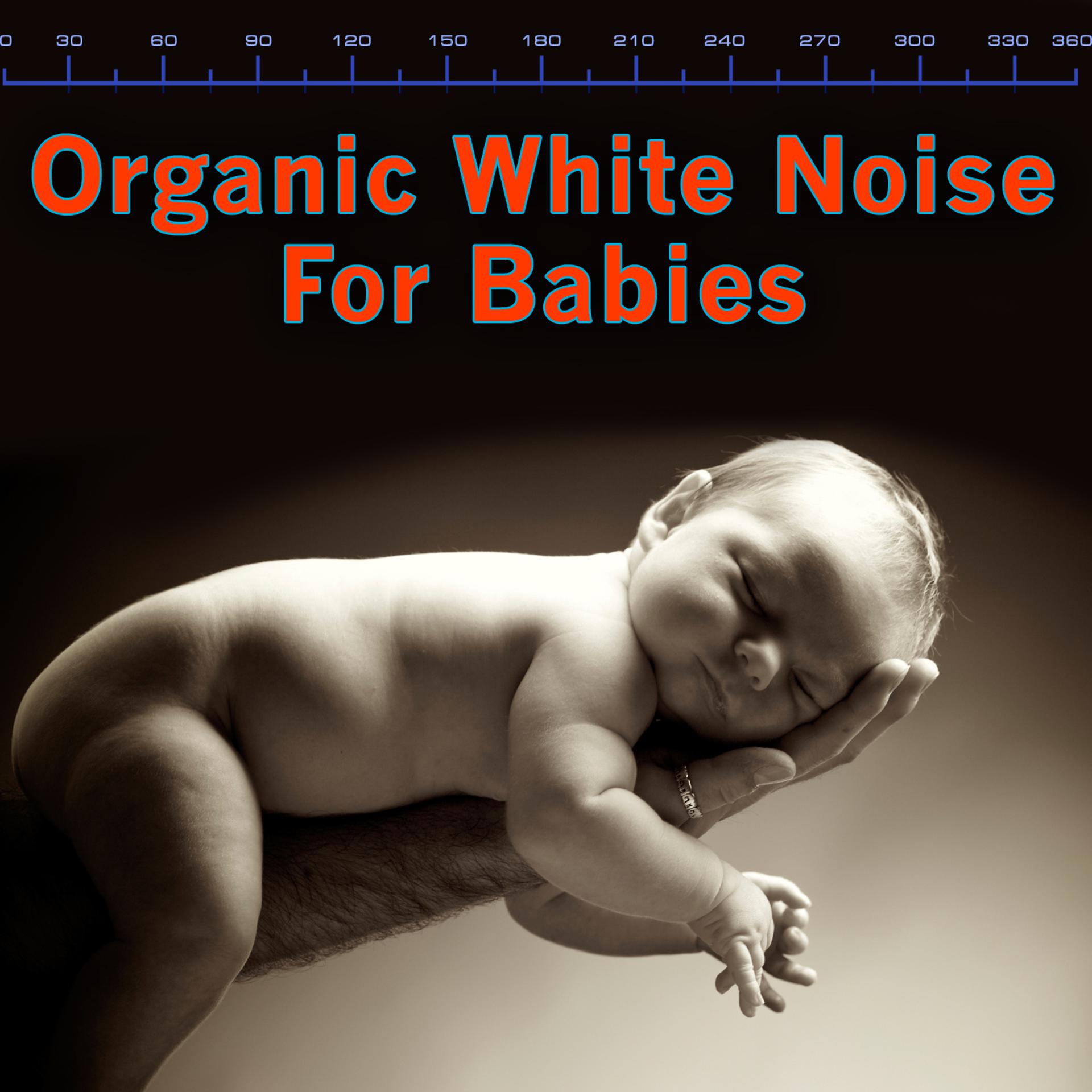 Постер альбома Organic White Noise For Babies