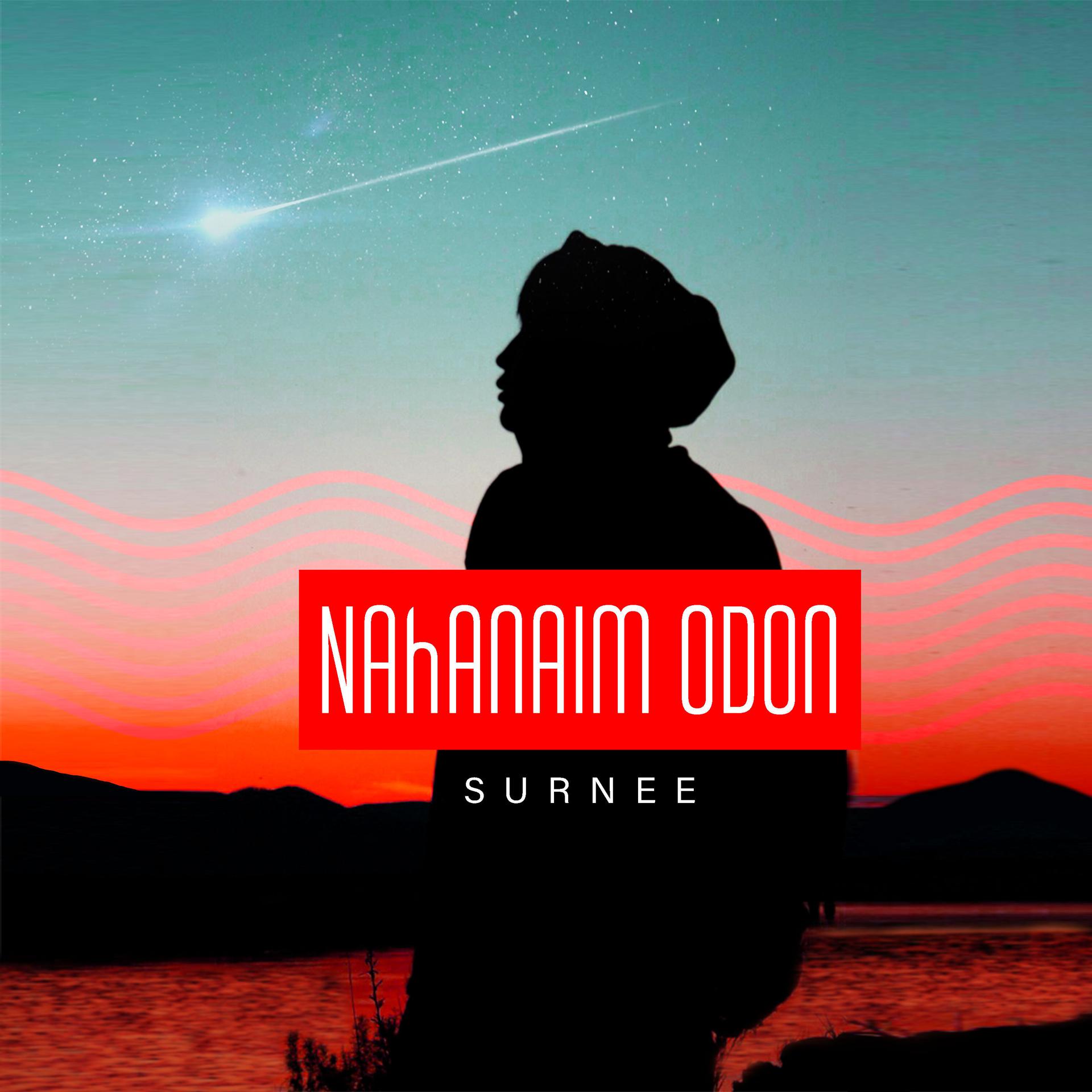 Постер альбома Nahanaim Odon