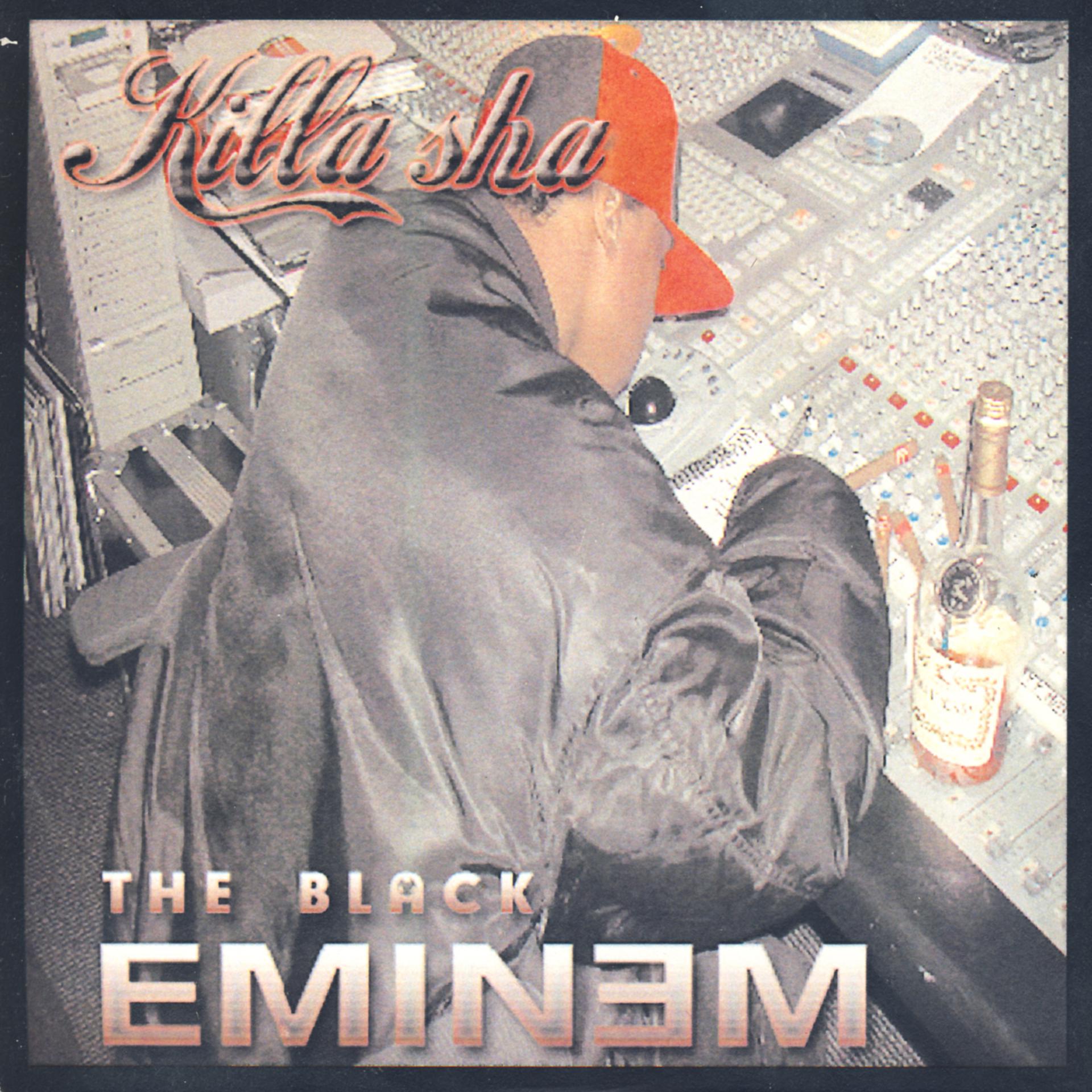 Постер альбома The Black Eminem