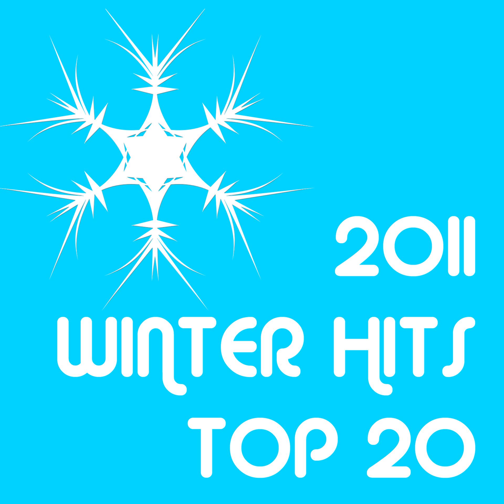 Постер альбома 2011 Winter Hits Top 20