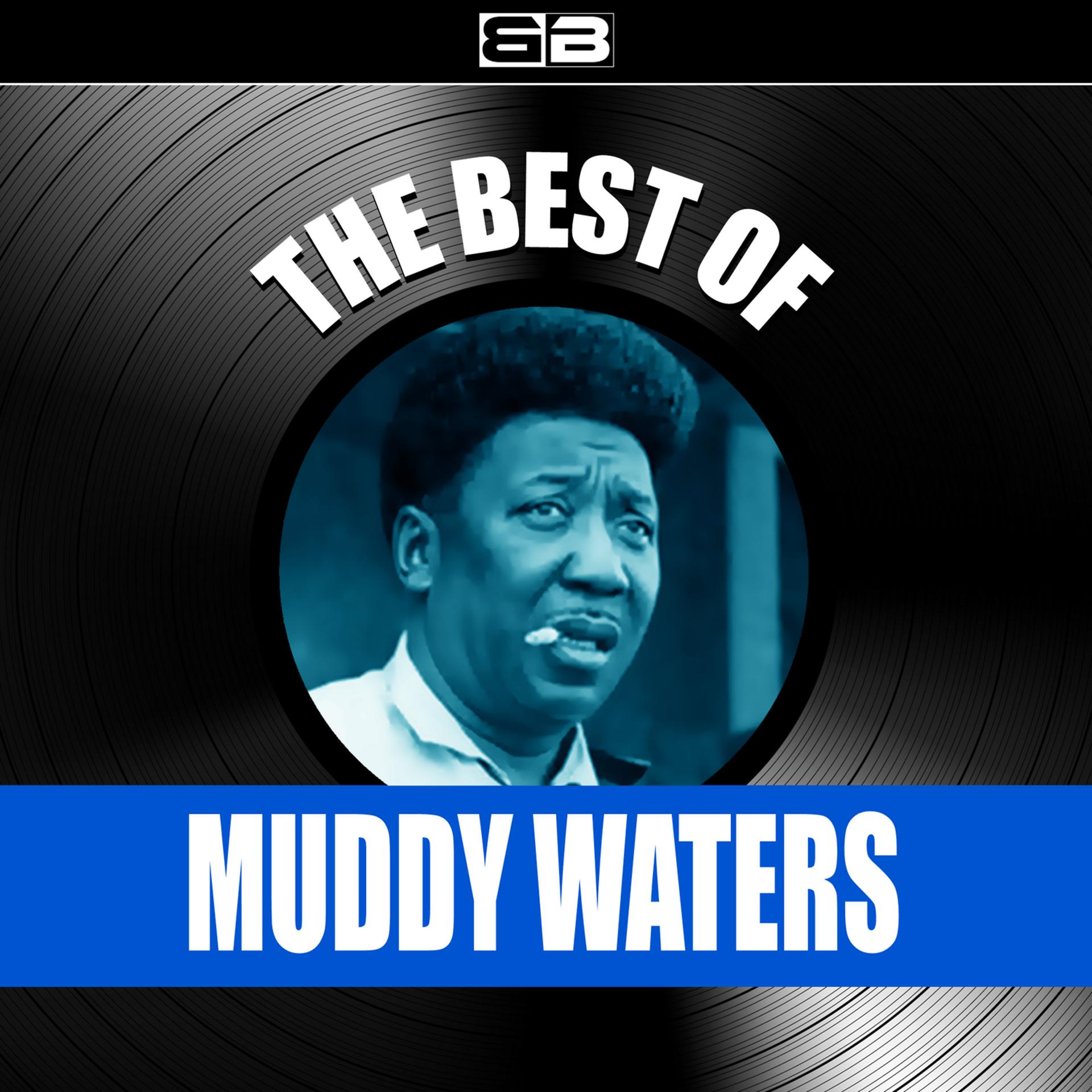Постер альбома The Best of Muddy Waters