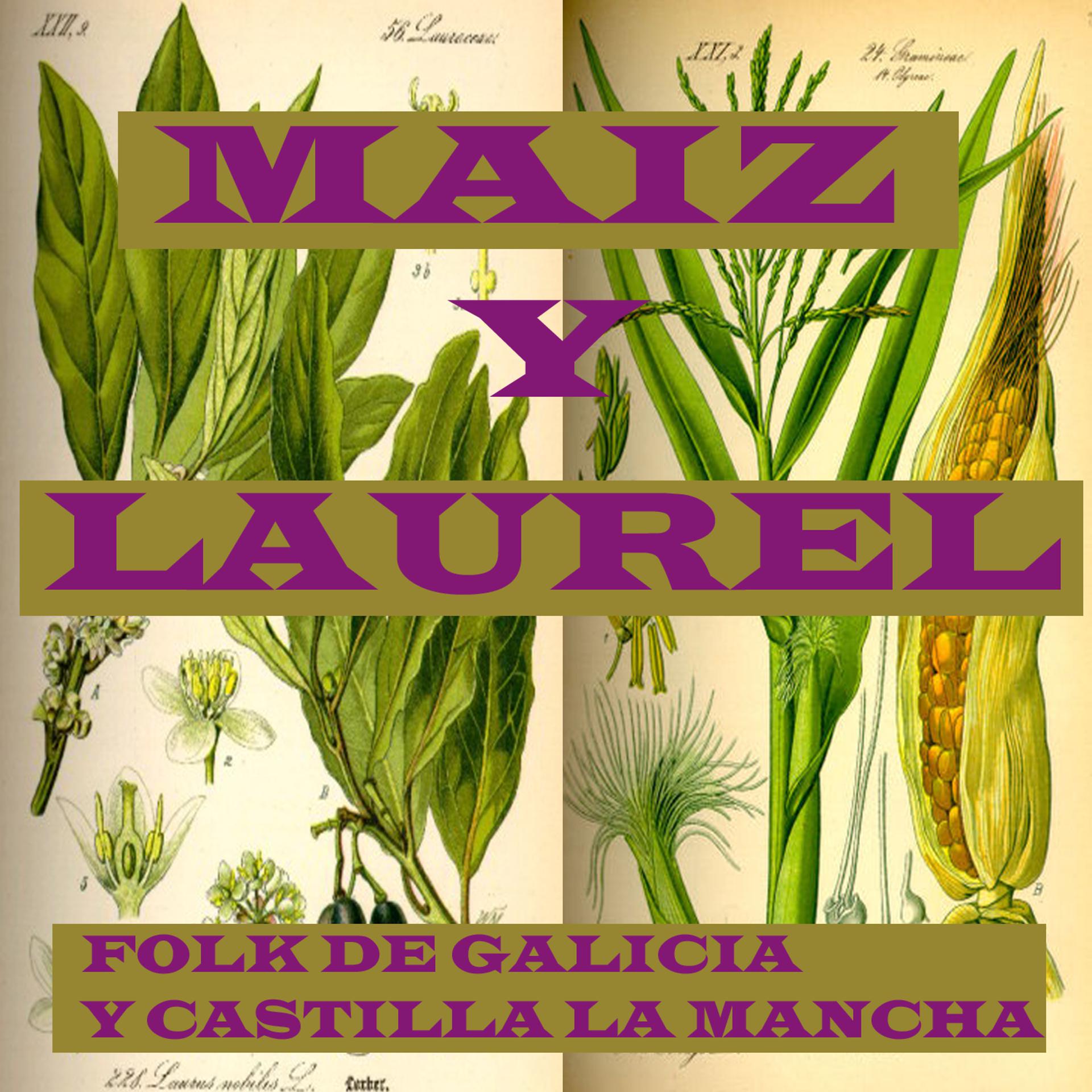 Постер альбома Maiz y Laurel -Folk de galicia y Castilla