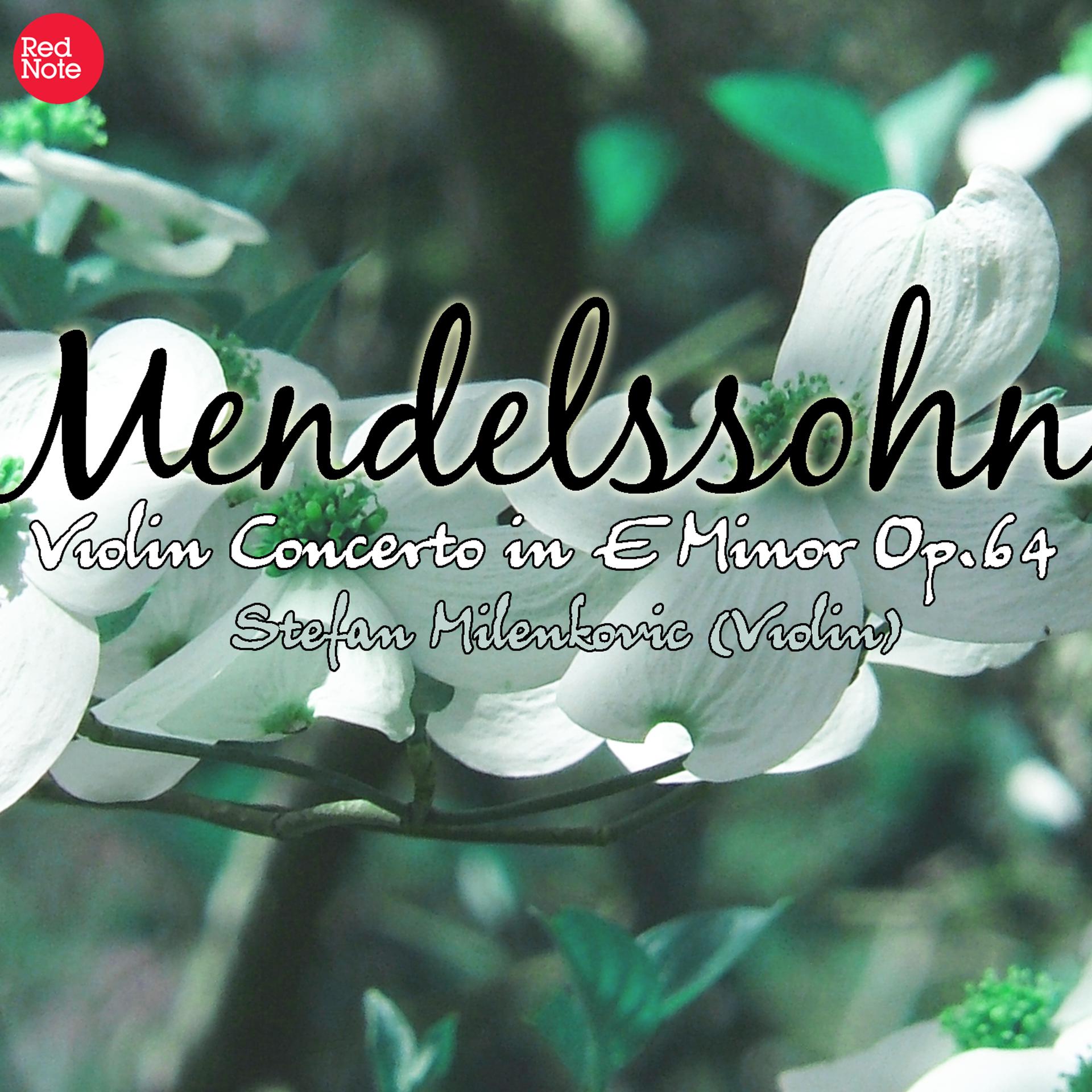 Постер альбома Mendelssohn: Violin Concerto in E Minor Op.64