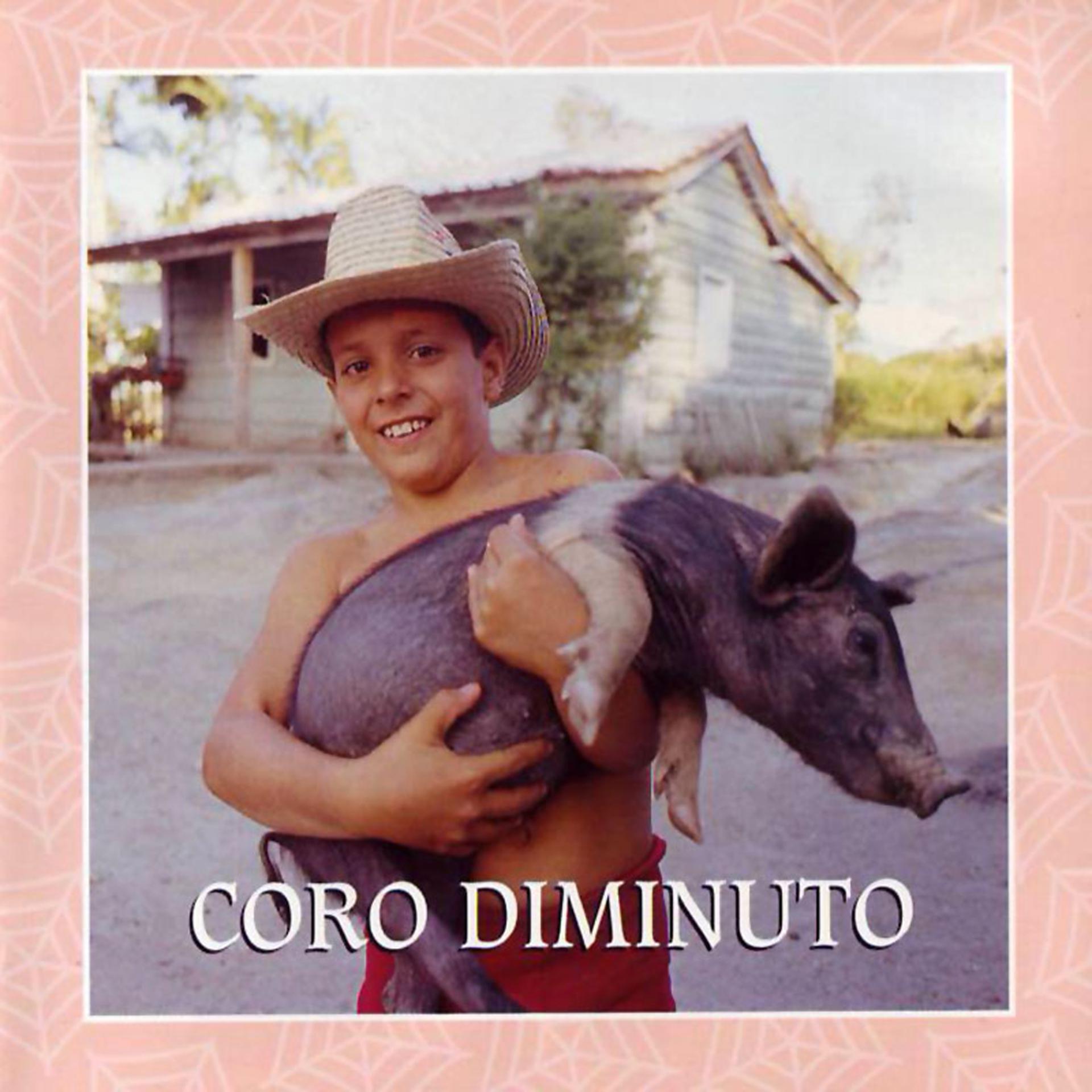 Постер альбома Coro Diminuto