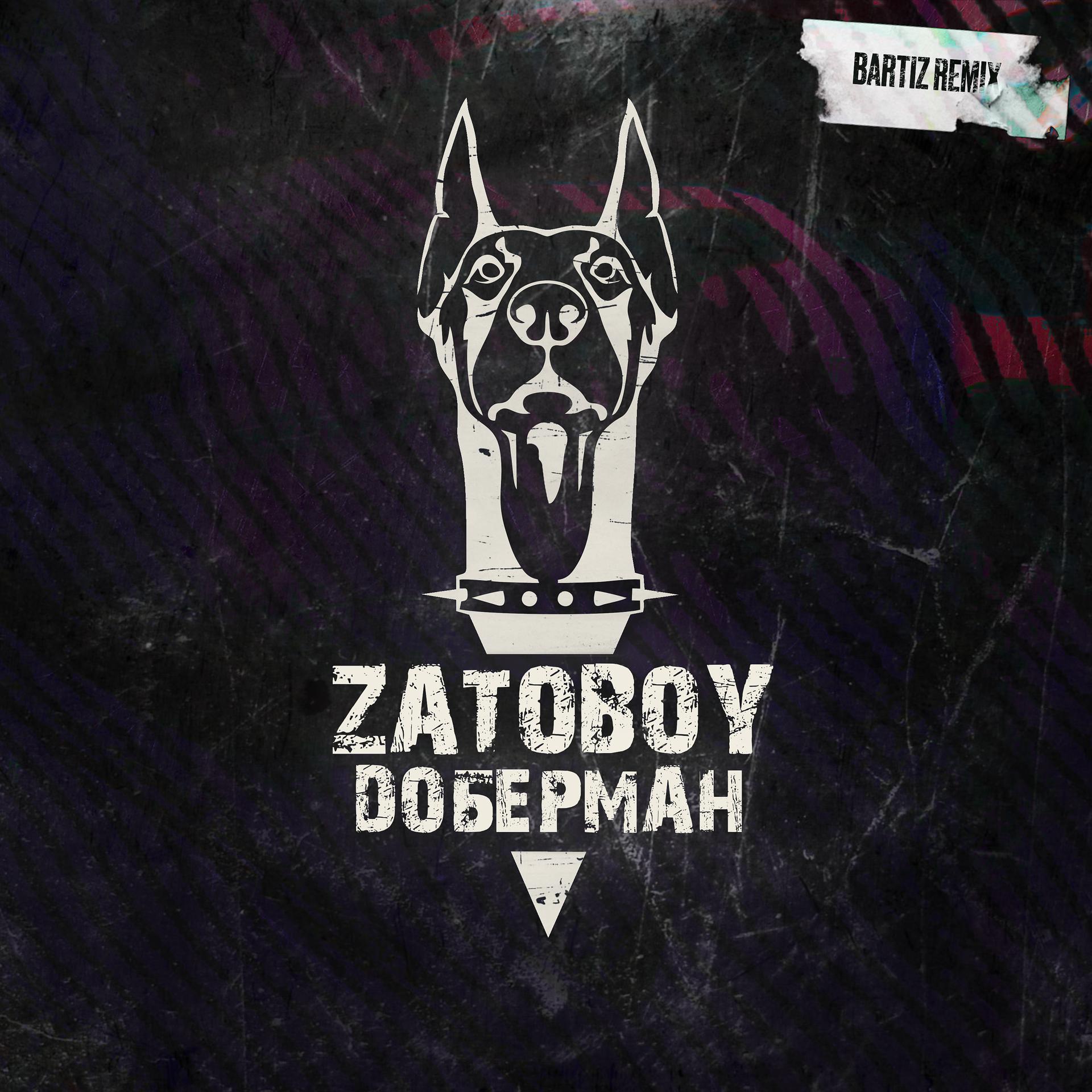 Постер альбома Доберман (BartiZ Remix)