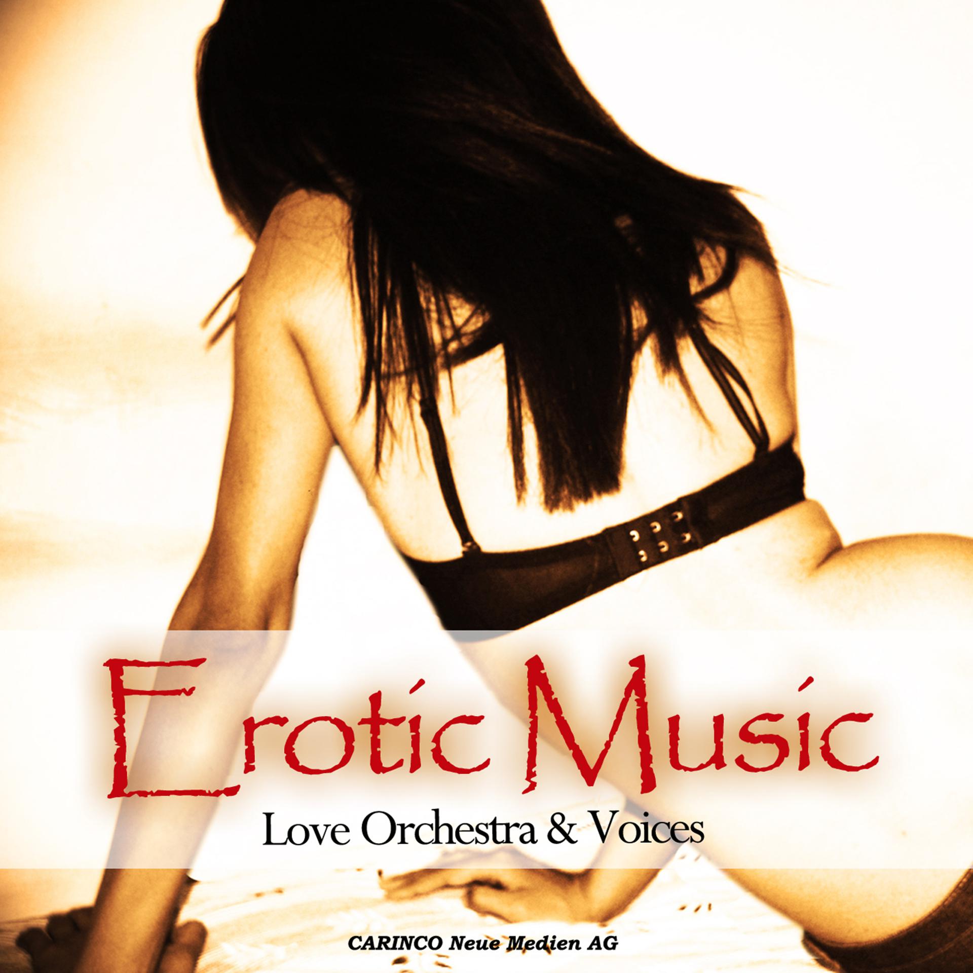 Постер альбома Erotic Music