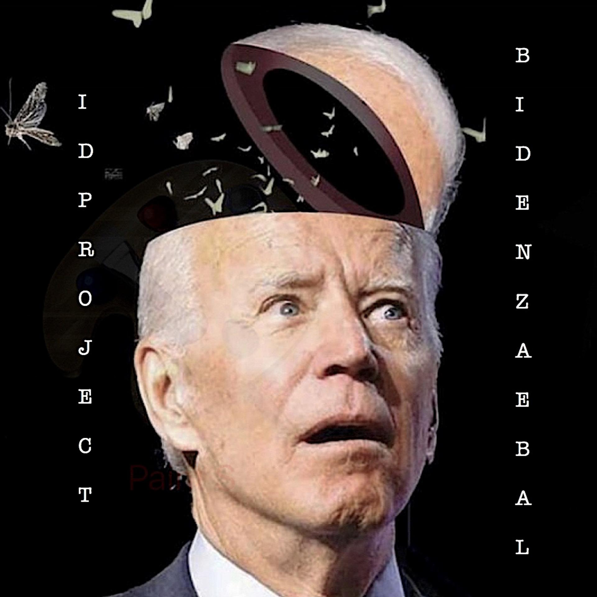 Постер альбома Biden zaebal