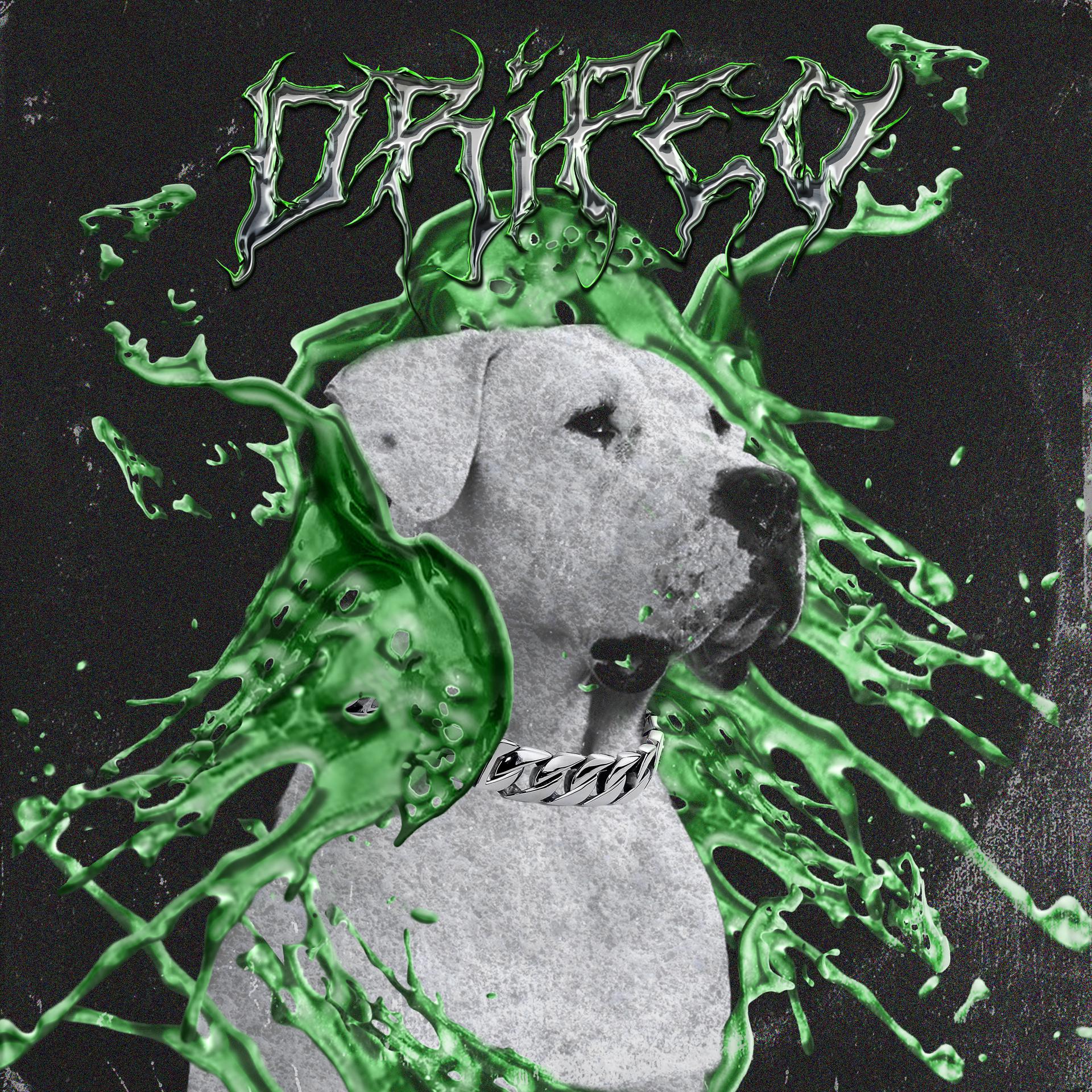 Постер альбома Dripeo