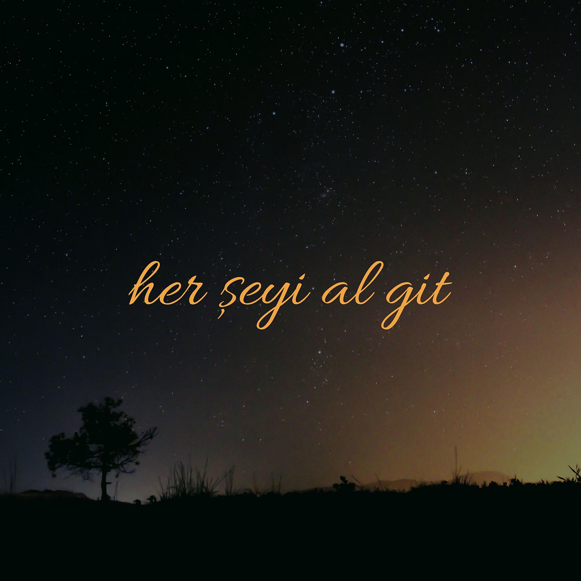 Постер альбома Her Şeyi Al Git