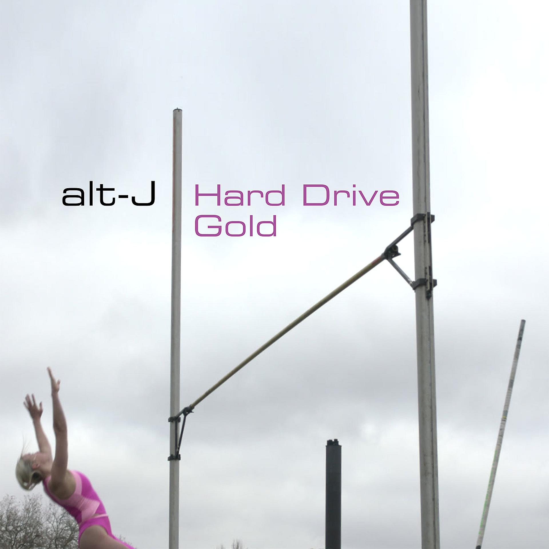 Постер альбома Hard Drive Gold