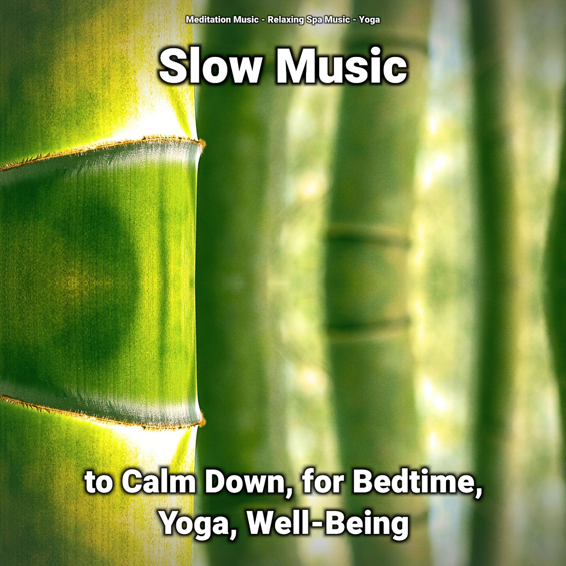 Постер альбома Slow Music to Calm Down, for Bedtime, Yoga, Well-Being