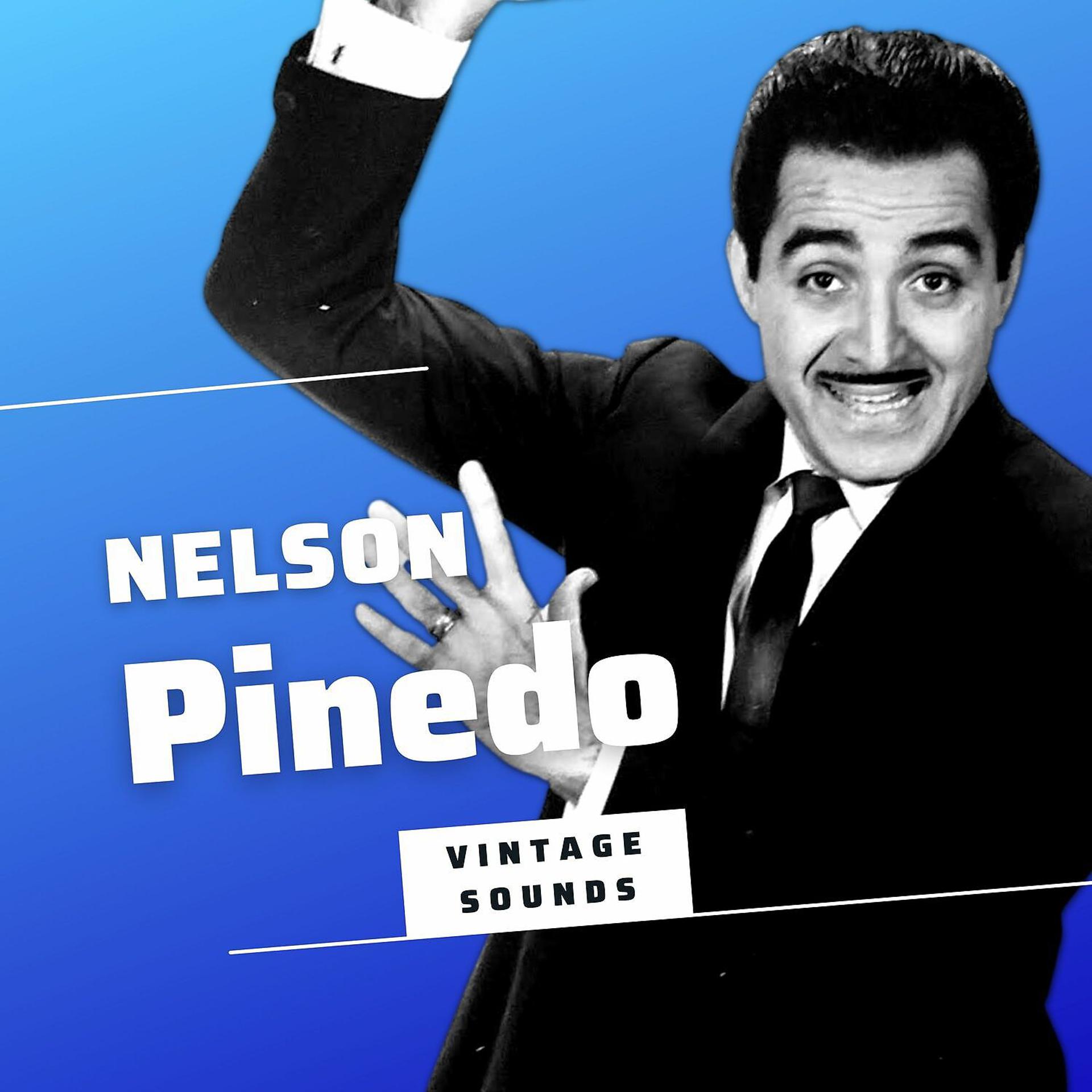 Постер альбома Nelson Pinedo - Vintage Sounds