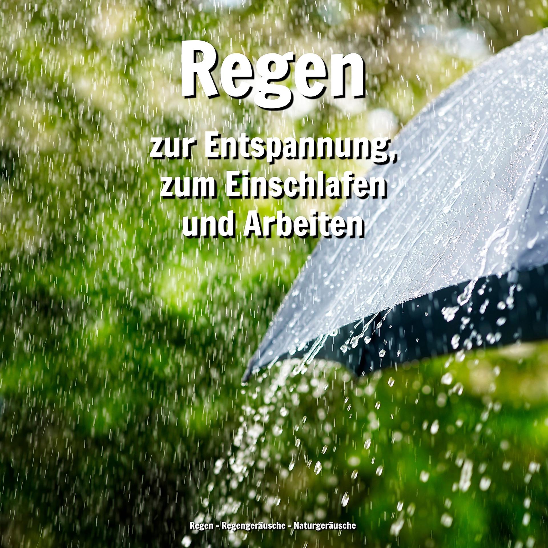 Постер альбома Regen zur Entspannung, zum Einschlafen und Arbeiten