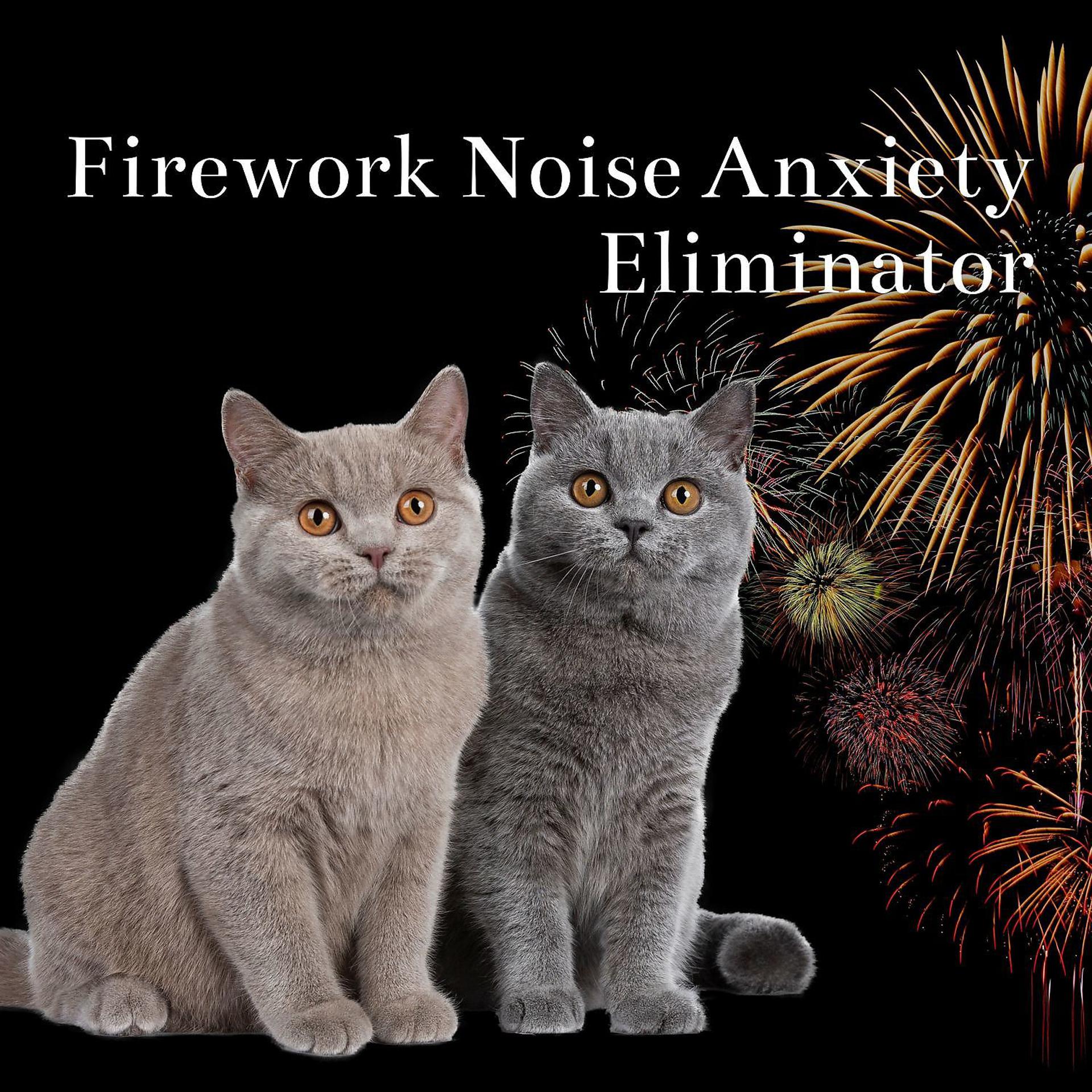 Постер альбома Firework Noise Anxiety Eliminator