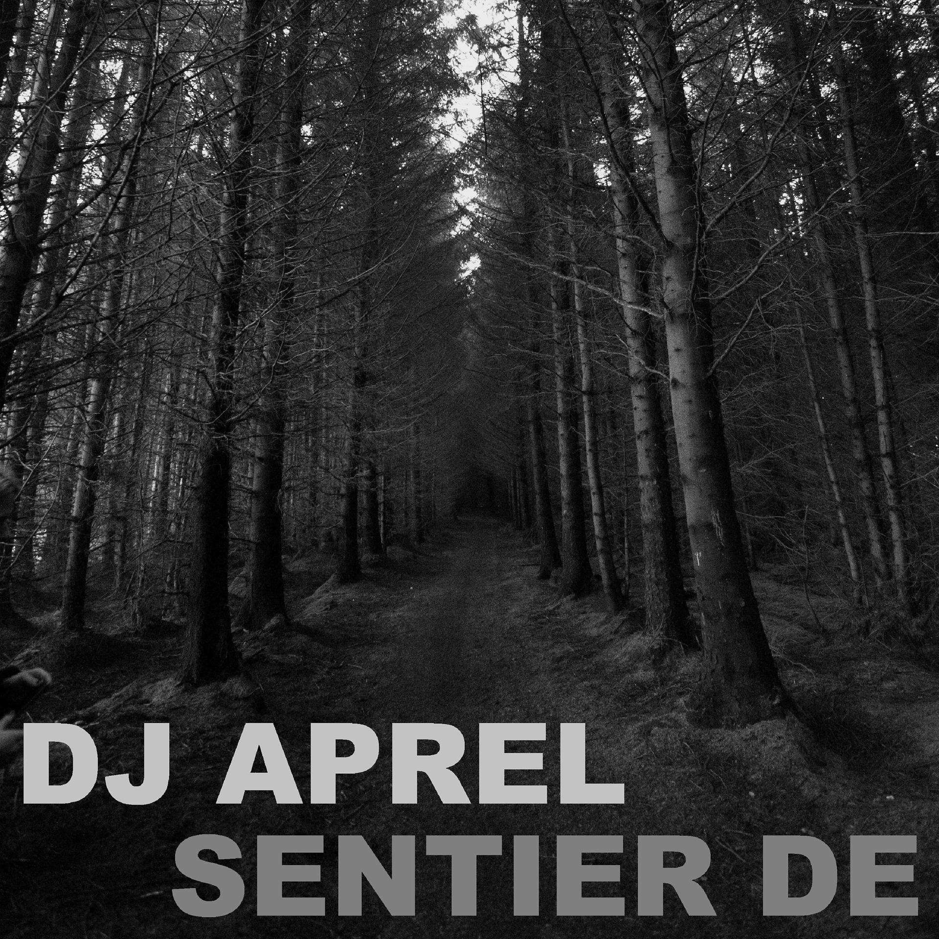 Постер альбома Sentier de