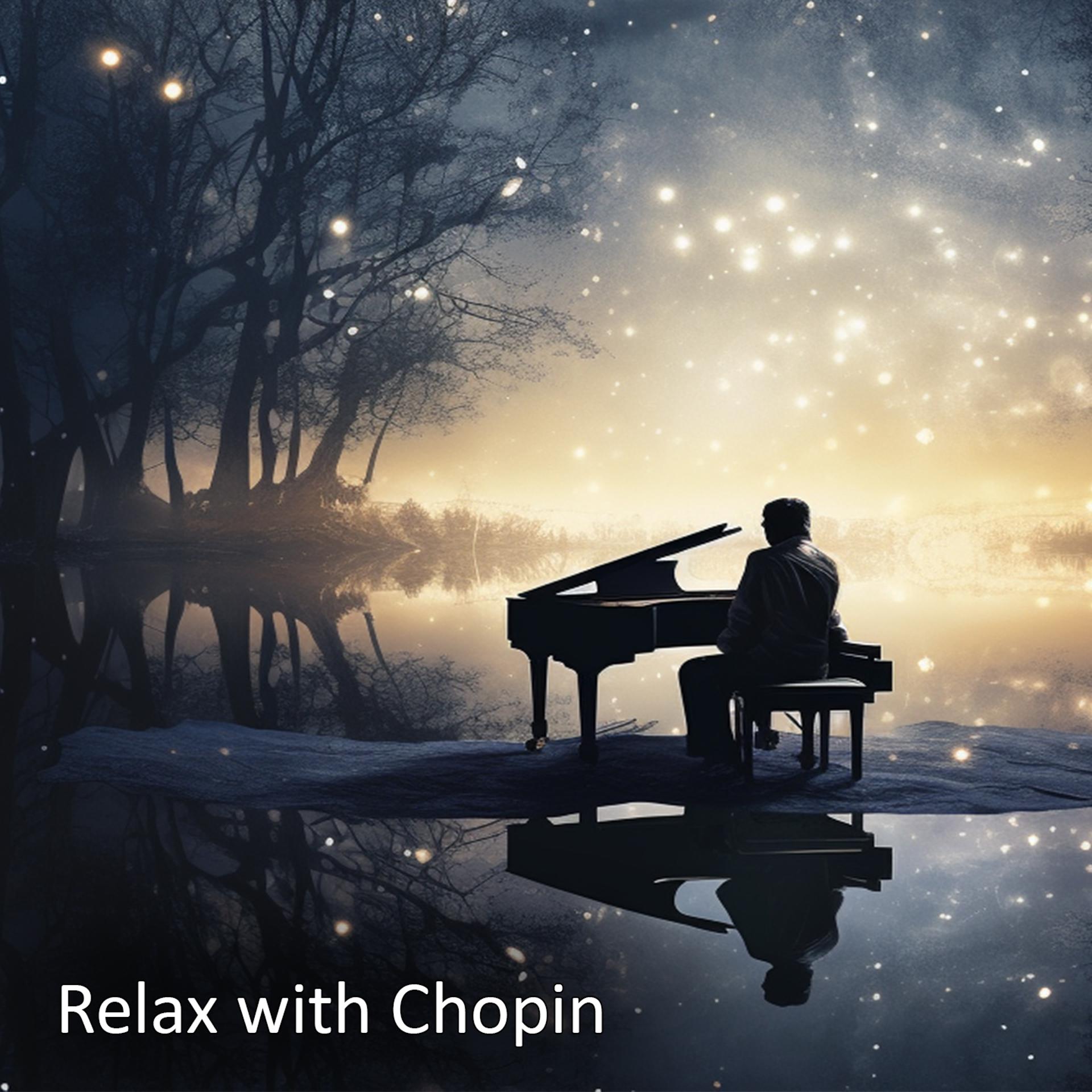 Постер альбома Relax with Chopin