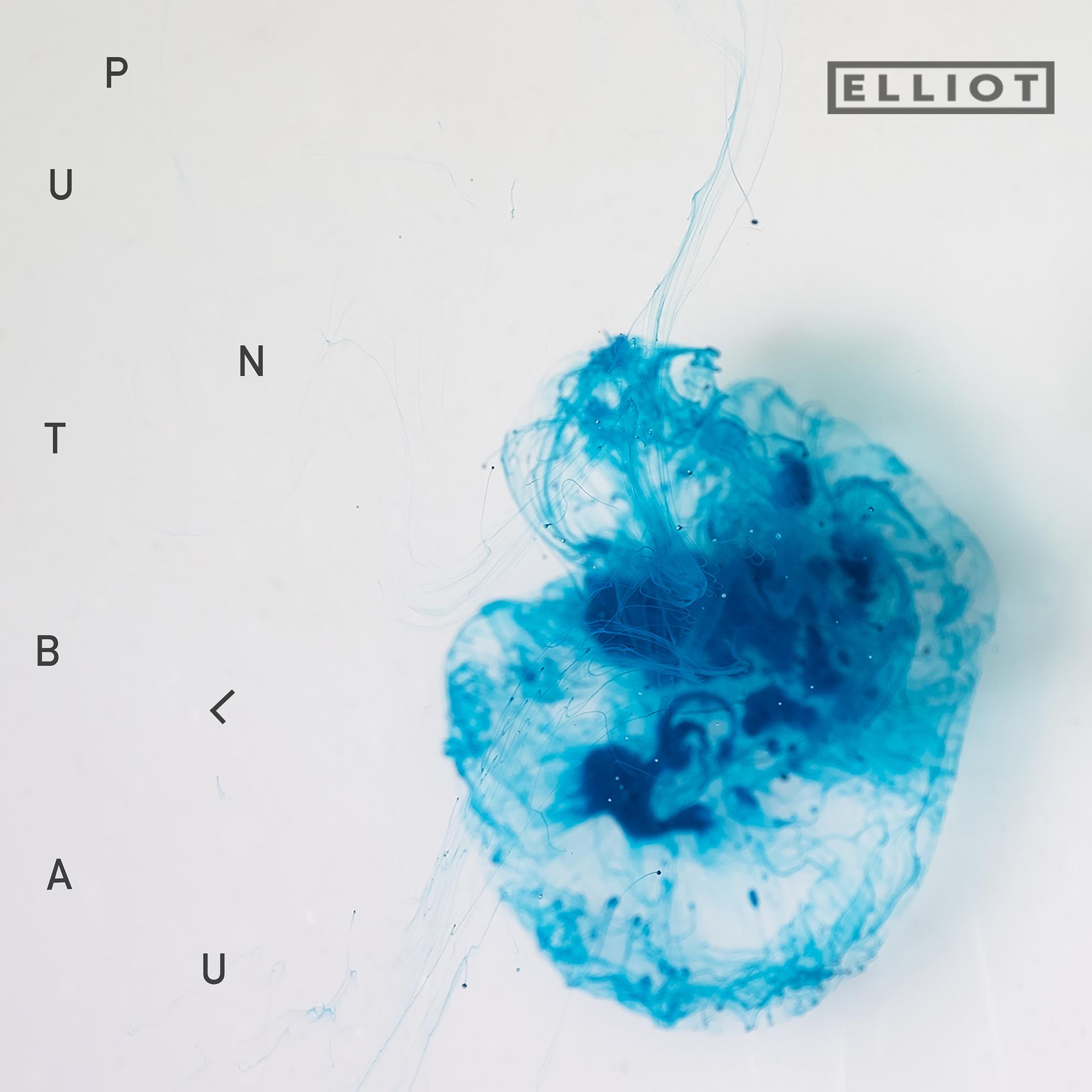 Постер альбома Punt blau