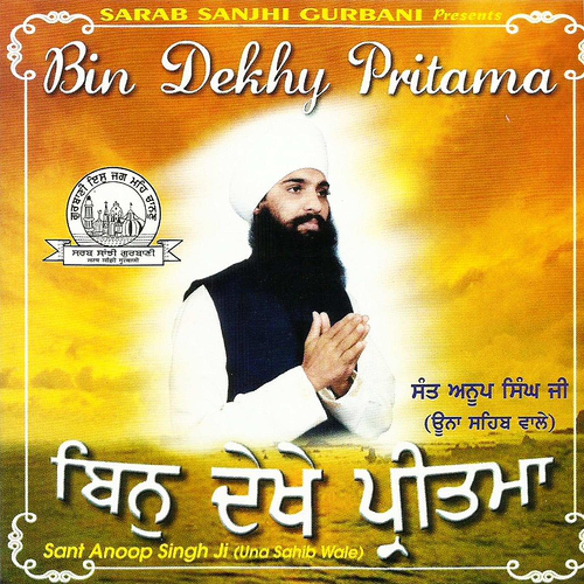 Постер альбома Bin Dekhy Pritama