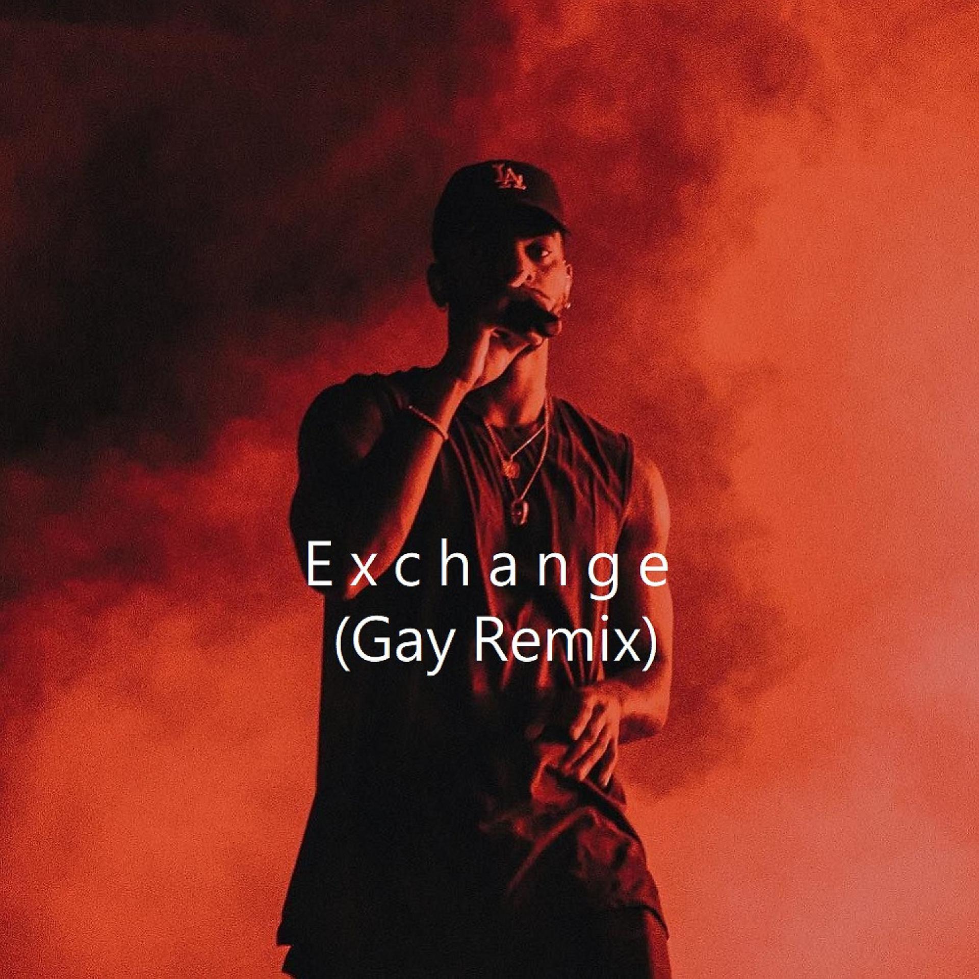 Постер альбома Exchange (Gay Remix)