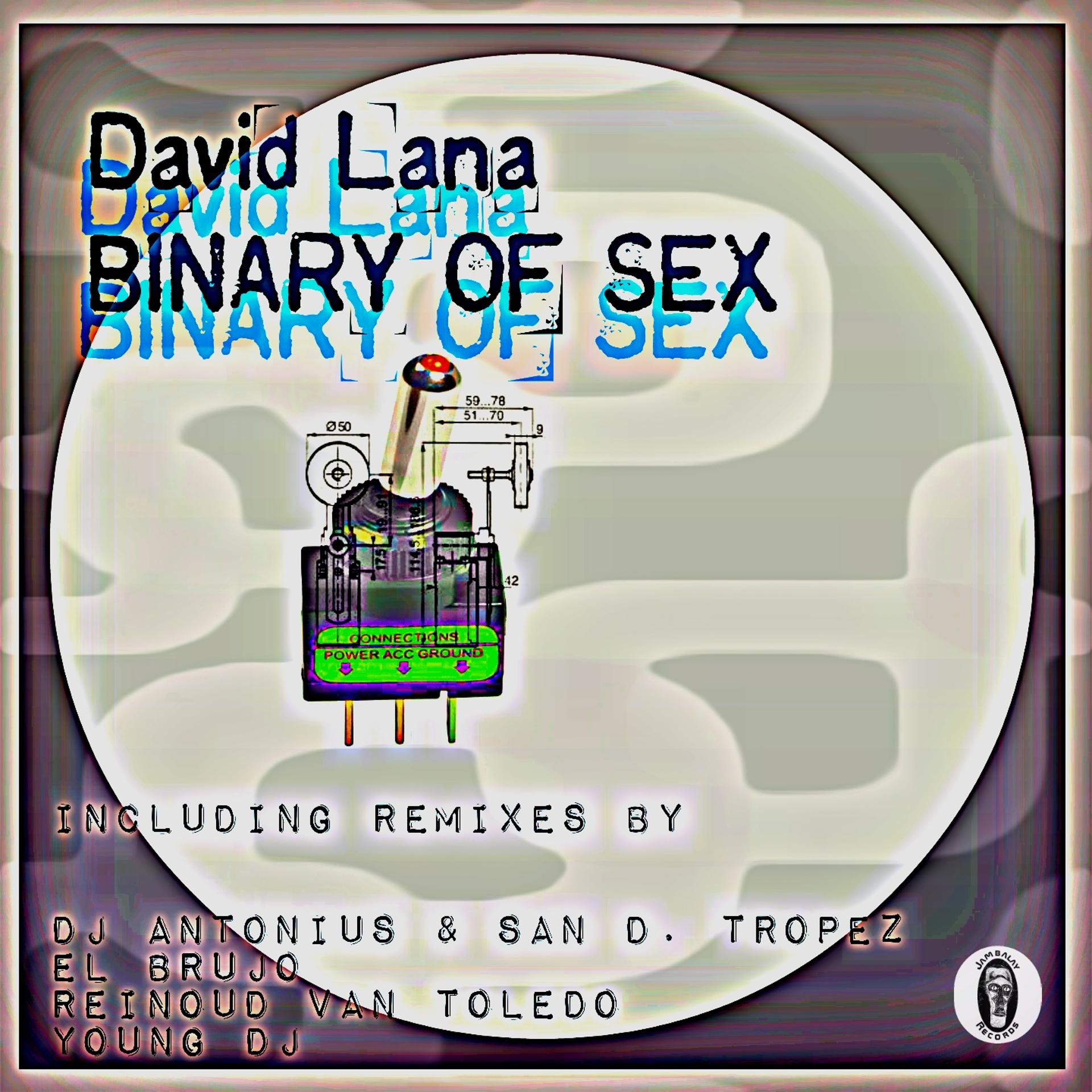 Постер альбома Binary of Sex