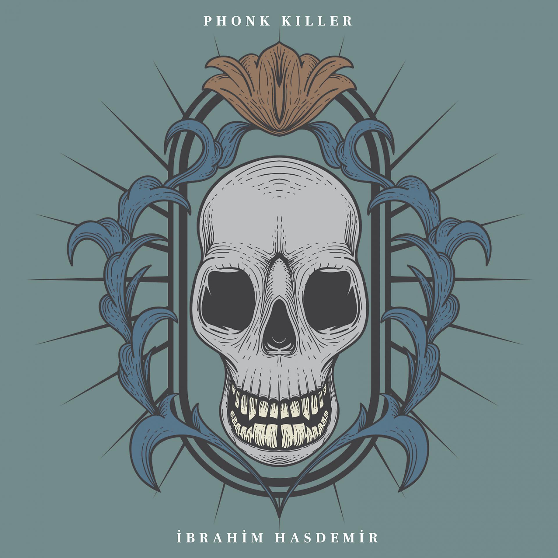 Постер альбома Phonk Killer
