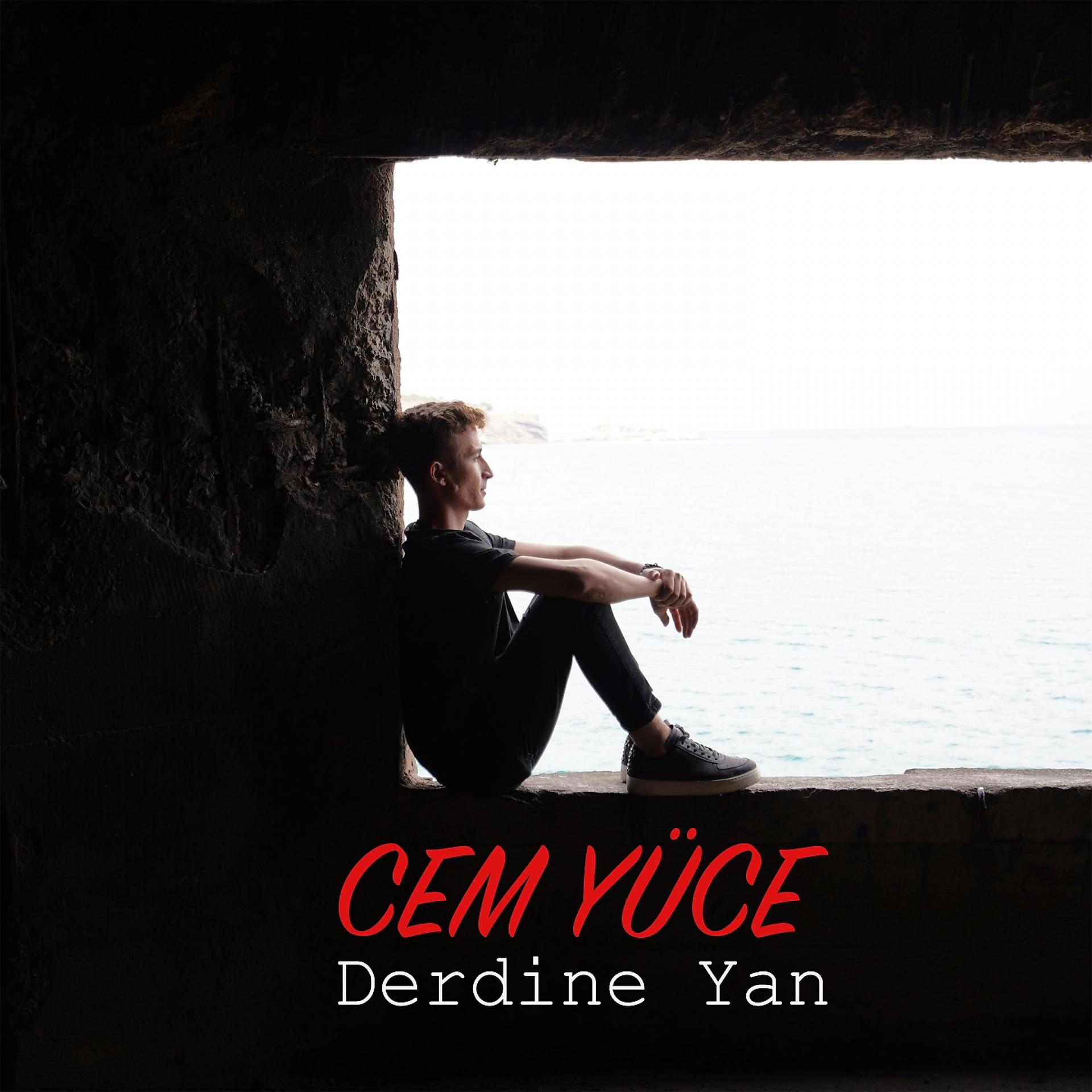 Постер альбома Derdine Yan