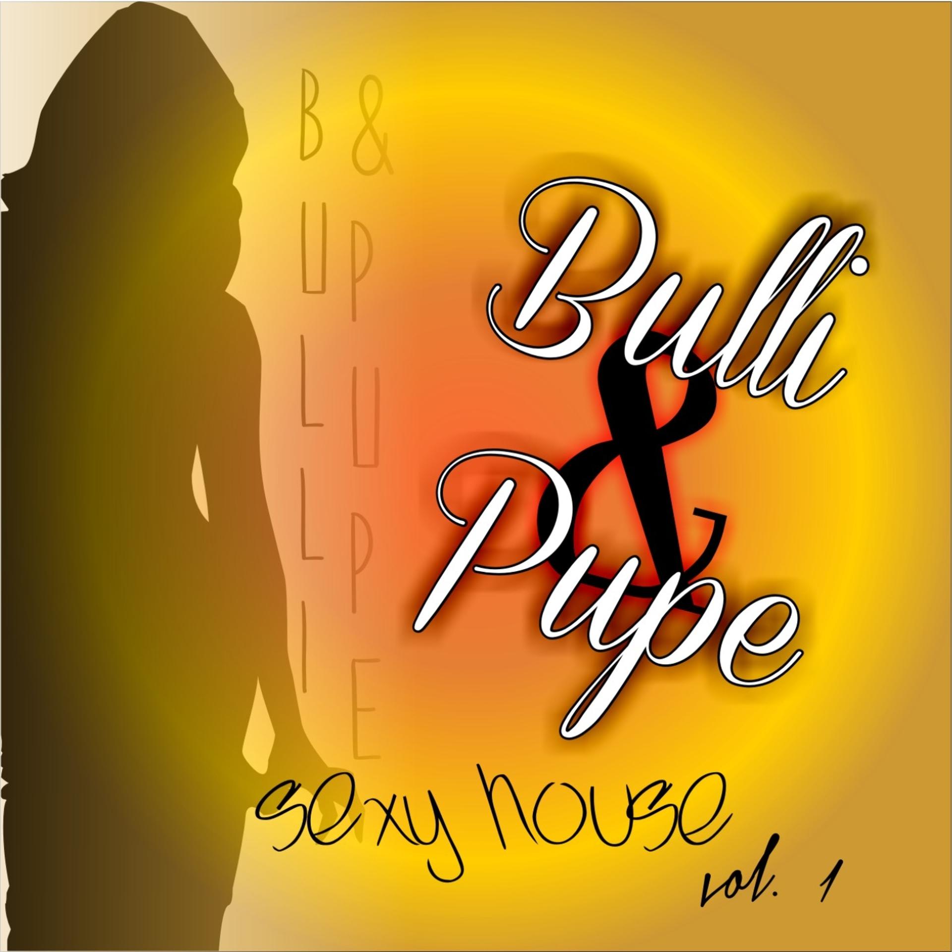 Постер альбома Bulli & Pupe Sexy House, Vol. 1