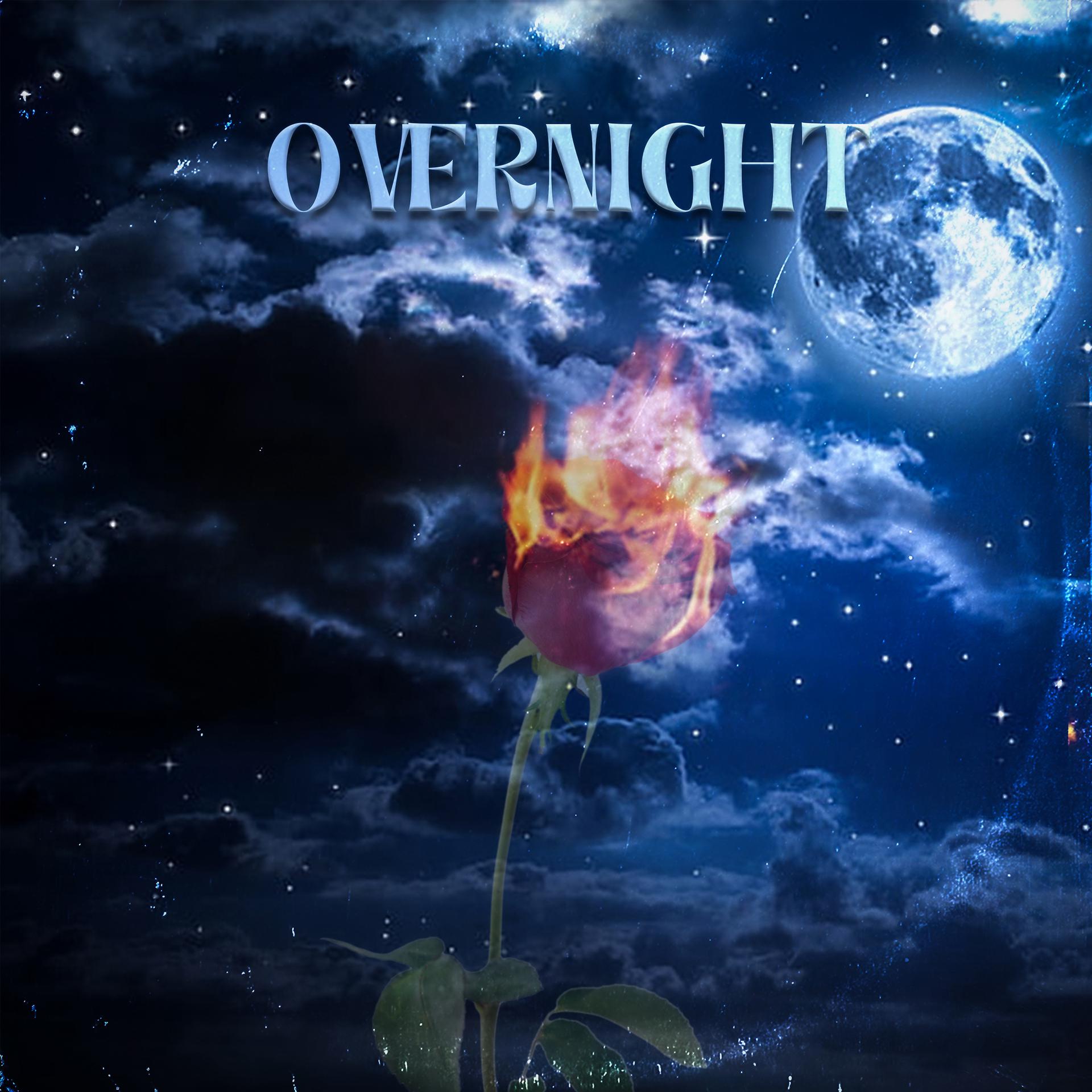 Постер альбома Overnight