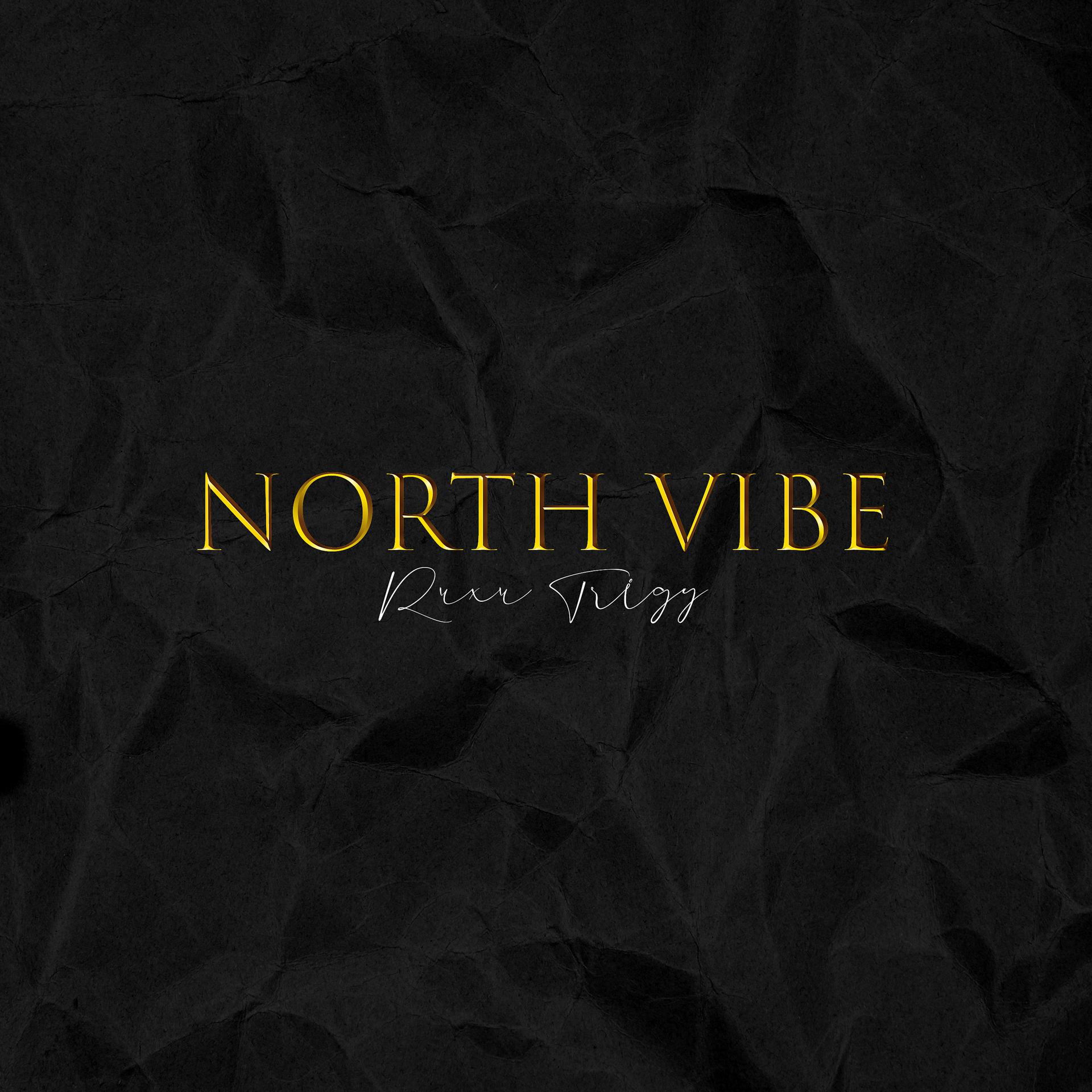 Постер альбома North Vibe
