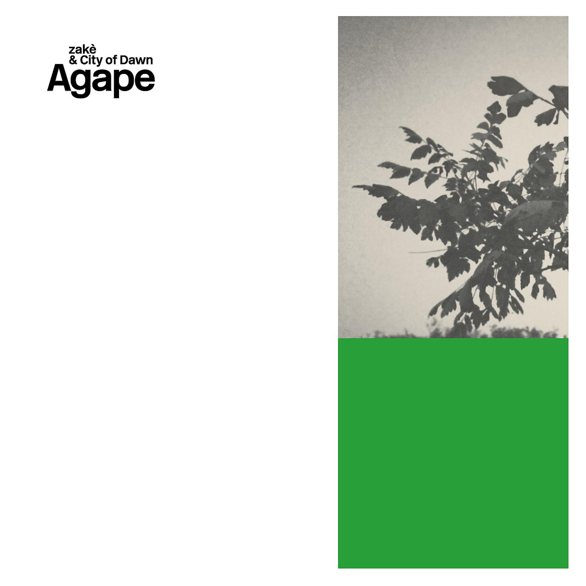 Постер альбома Agape