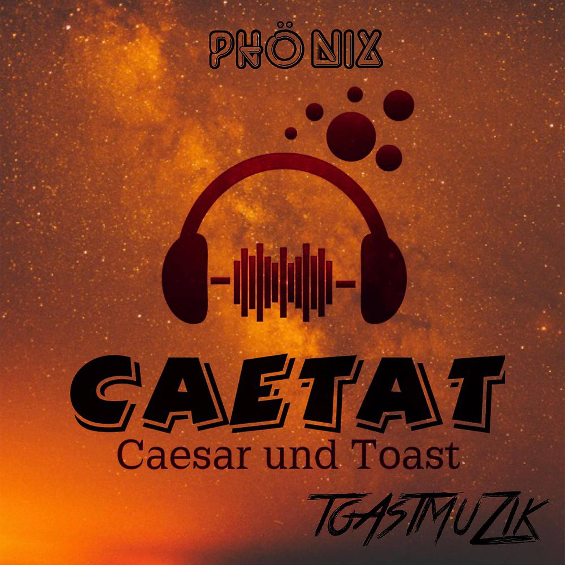 Постер альбома Phönix