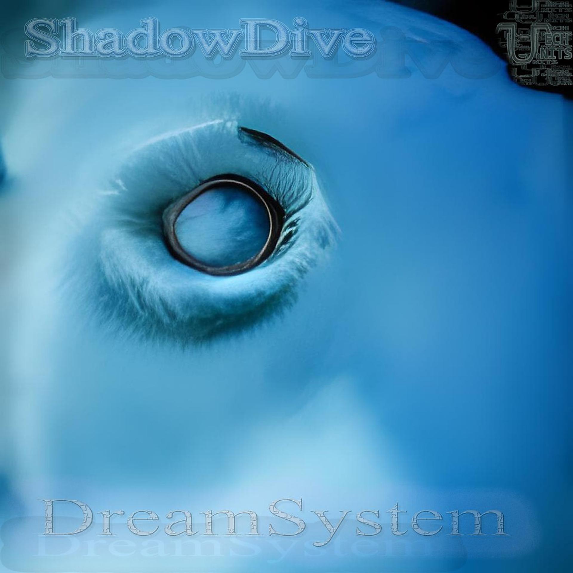 Постер альбома Shadowdive