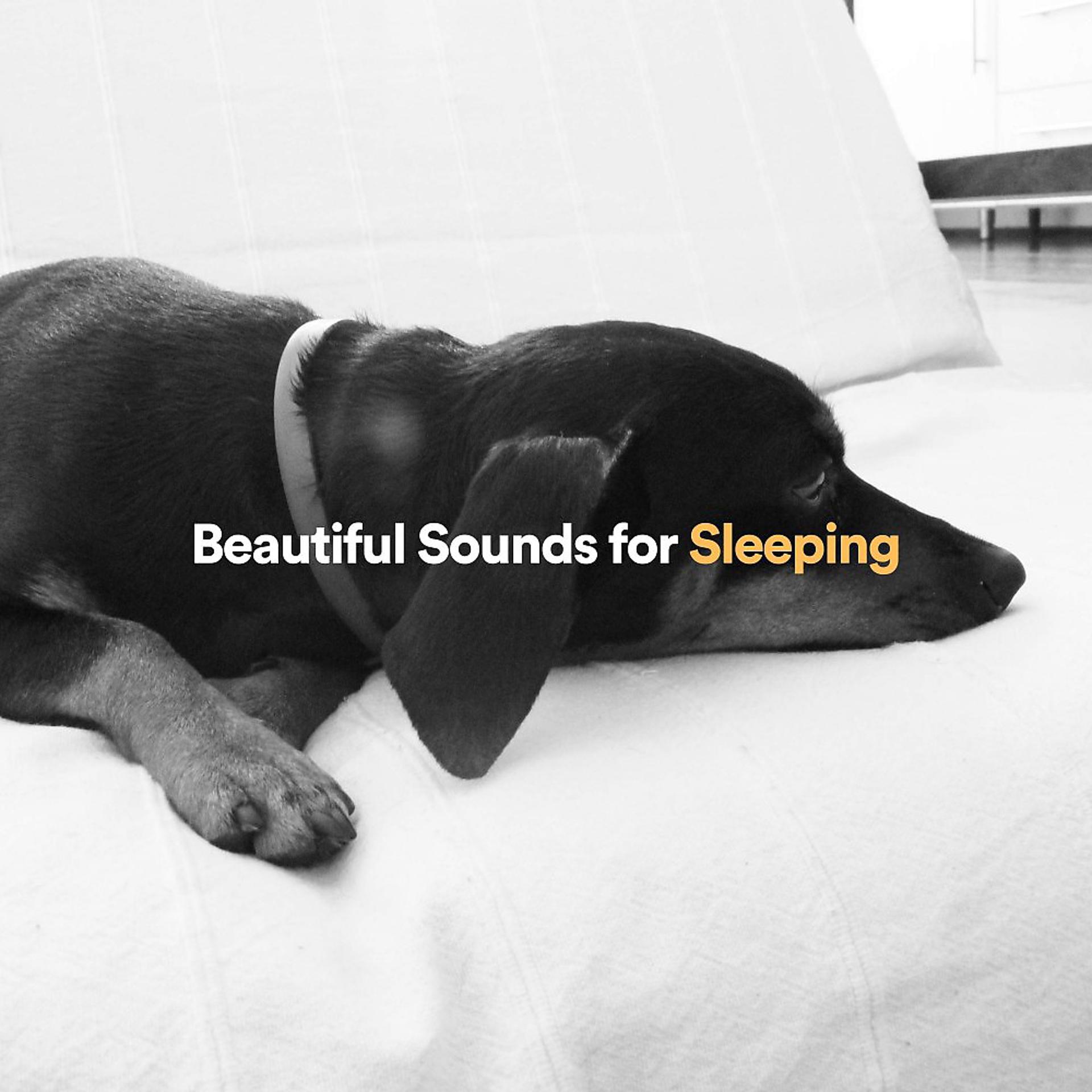 Постер альбома Beautiful Sounds for Sleeping