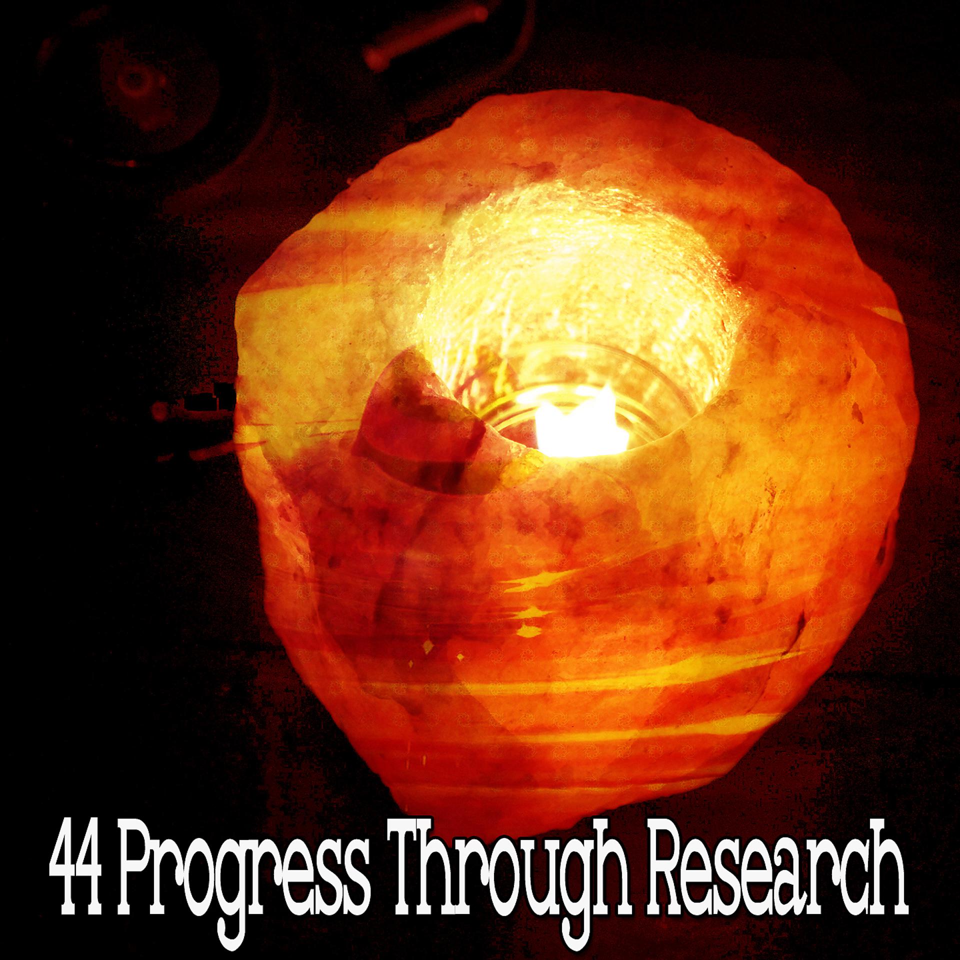 Постер альбома 44 Прогресс через исследования