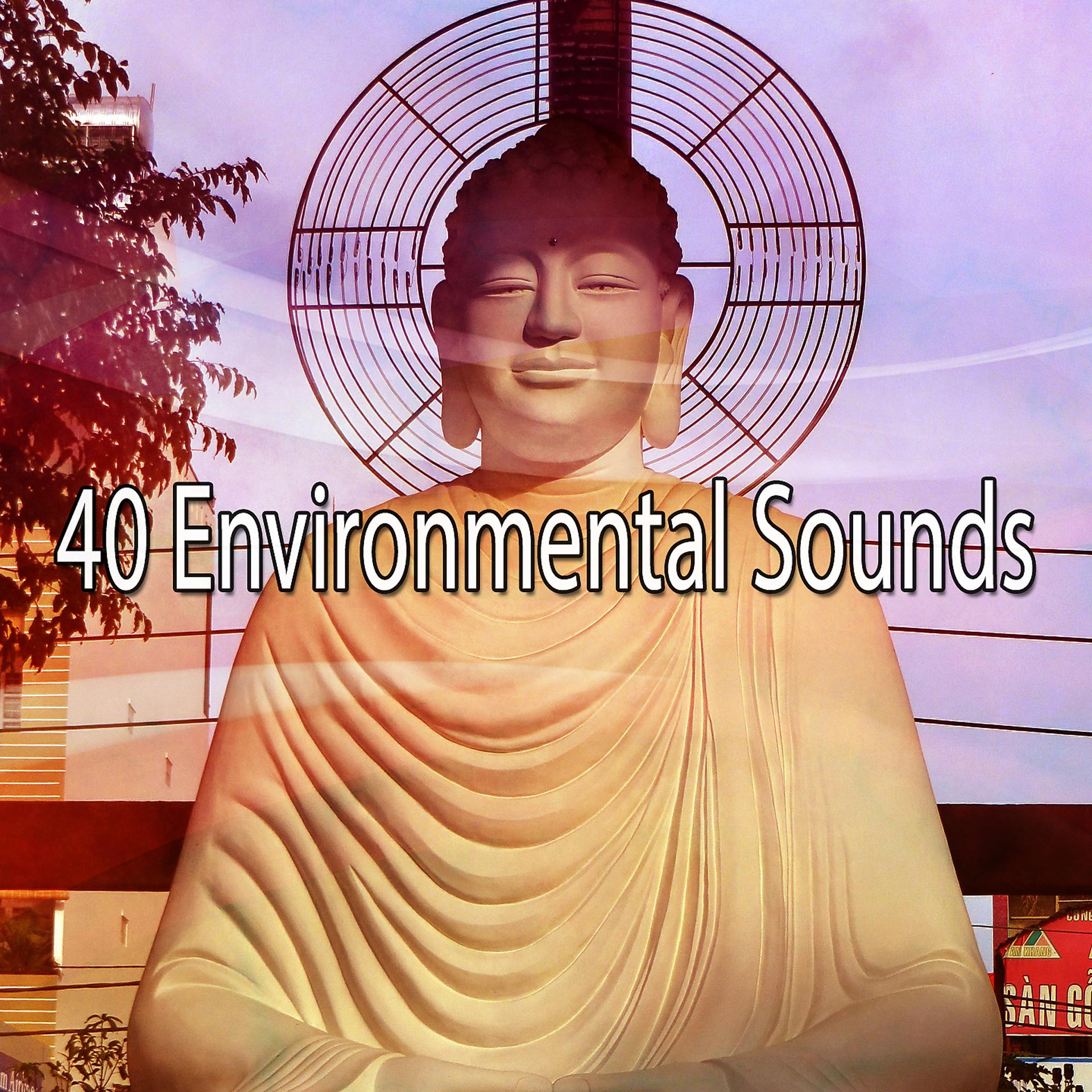 Постер альбома 40 звуков окружающей среды
