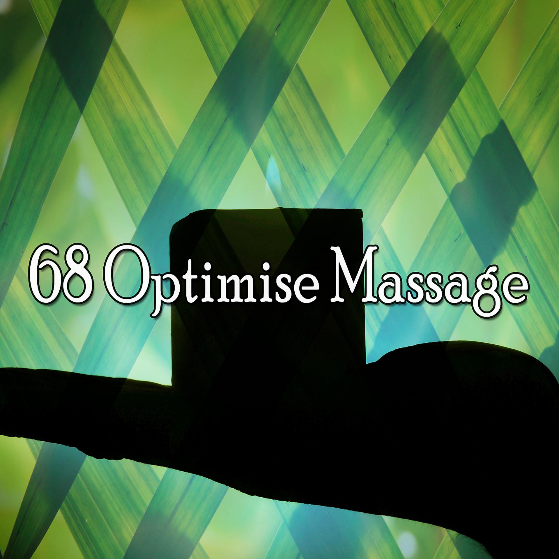 Постер альбома 68 Оптимизировать массаж