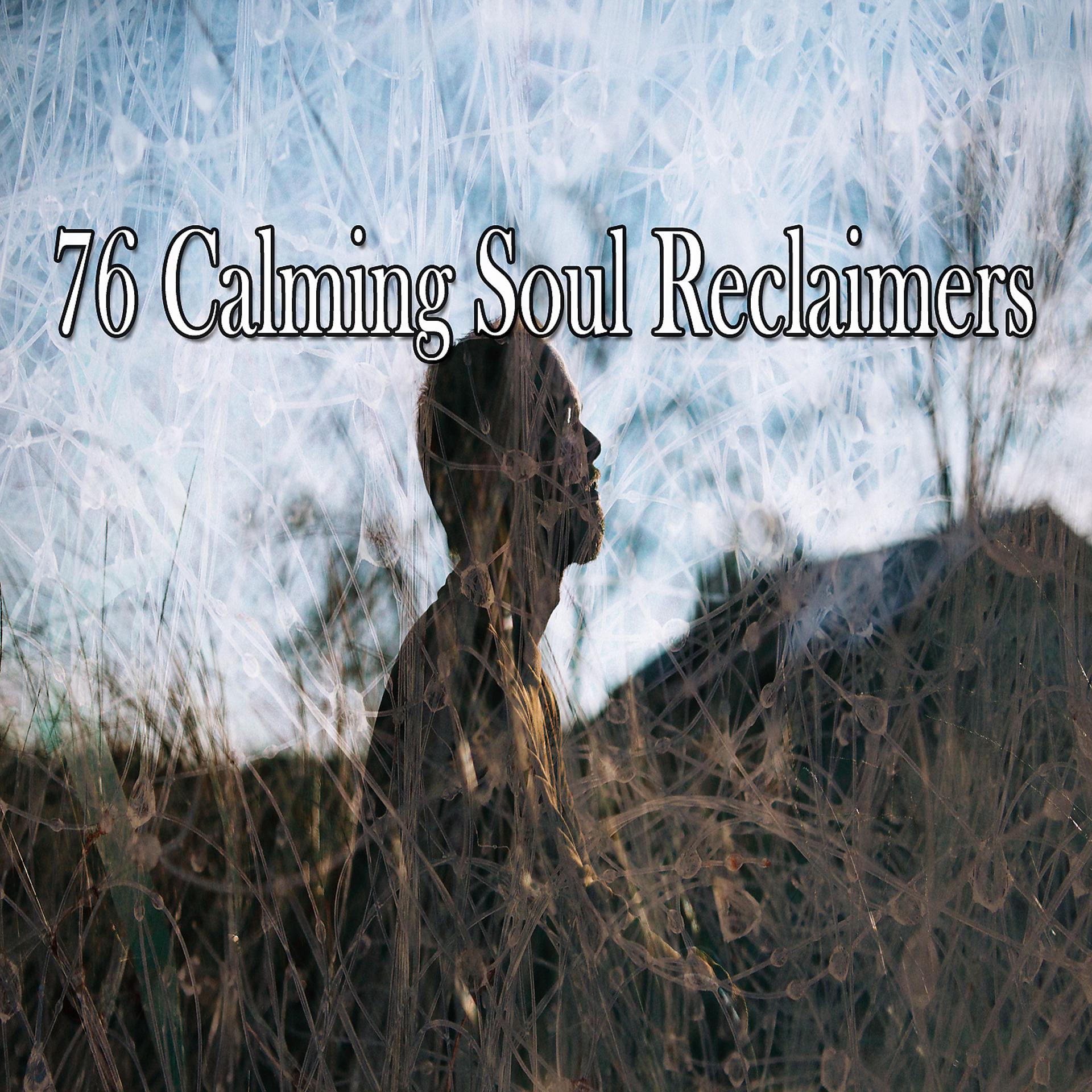 Постер альбома 76 успокаивающих восстановителей души