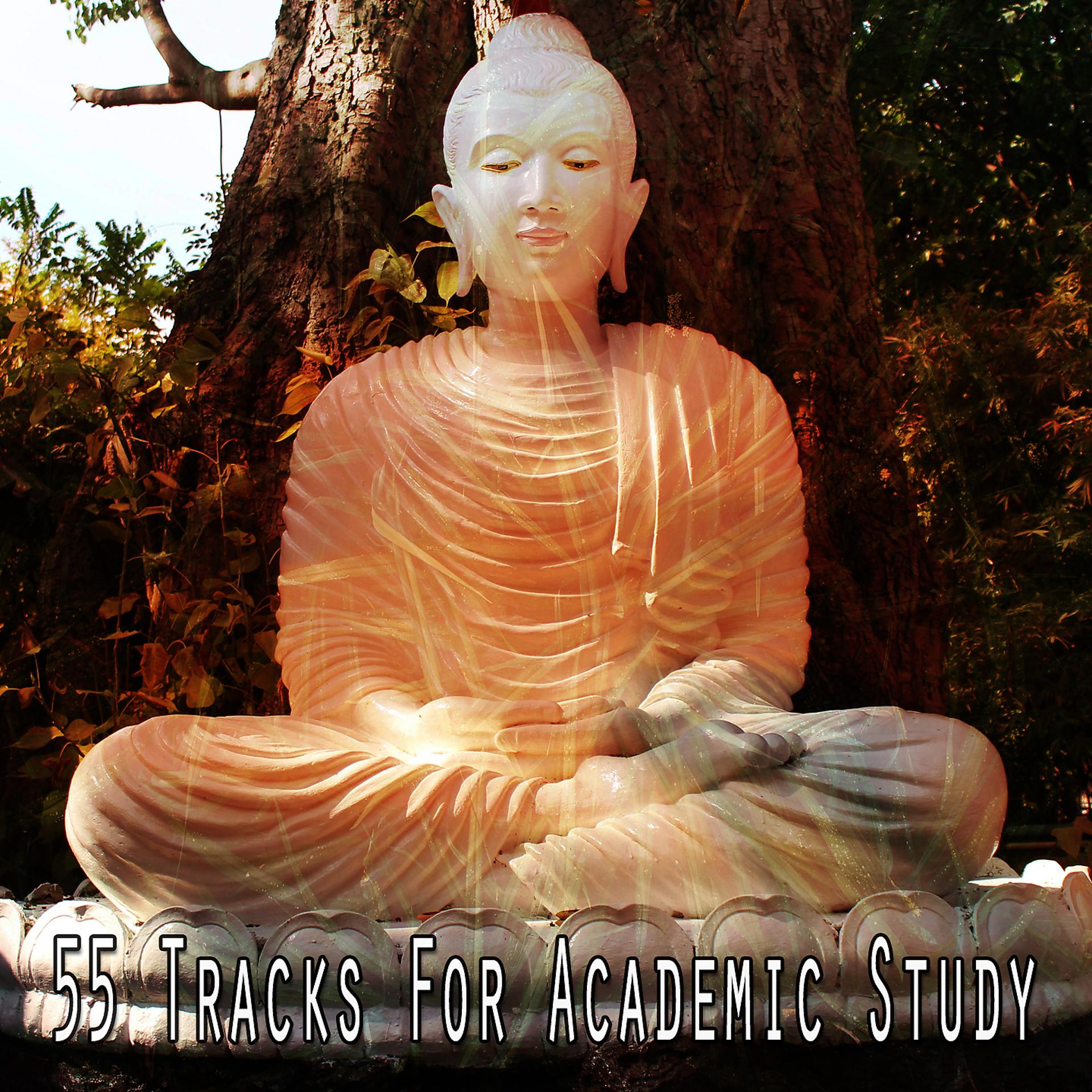 Постер альбома 55 треков для академической учебы