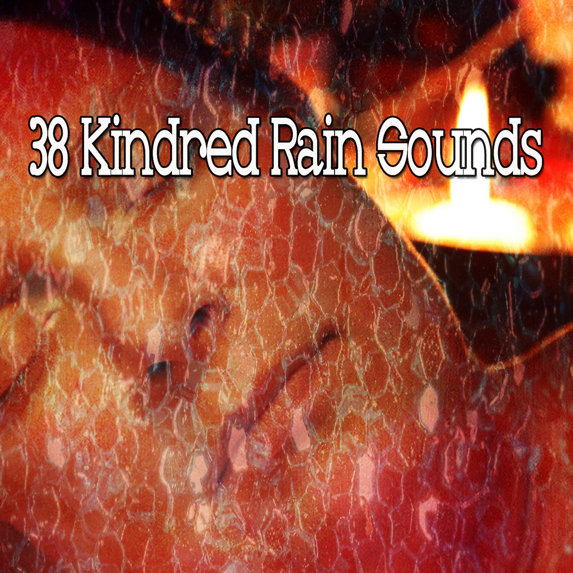 Постер альбома 38 родных звуков дождя