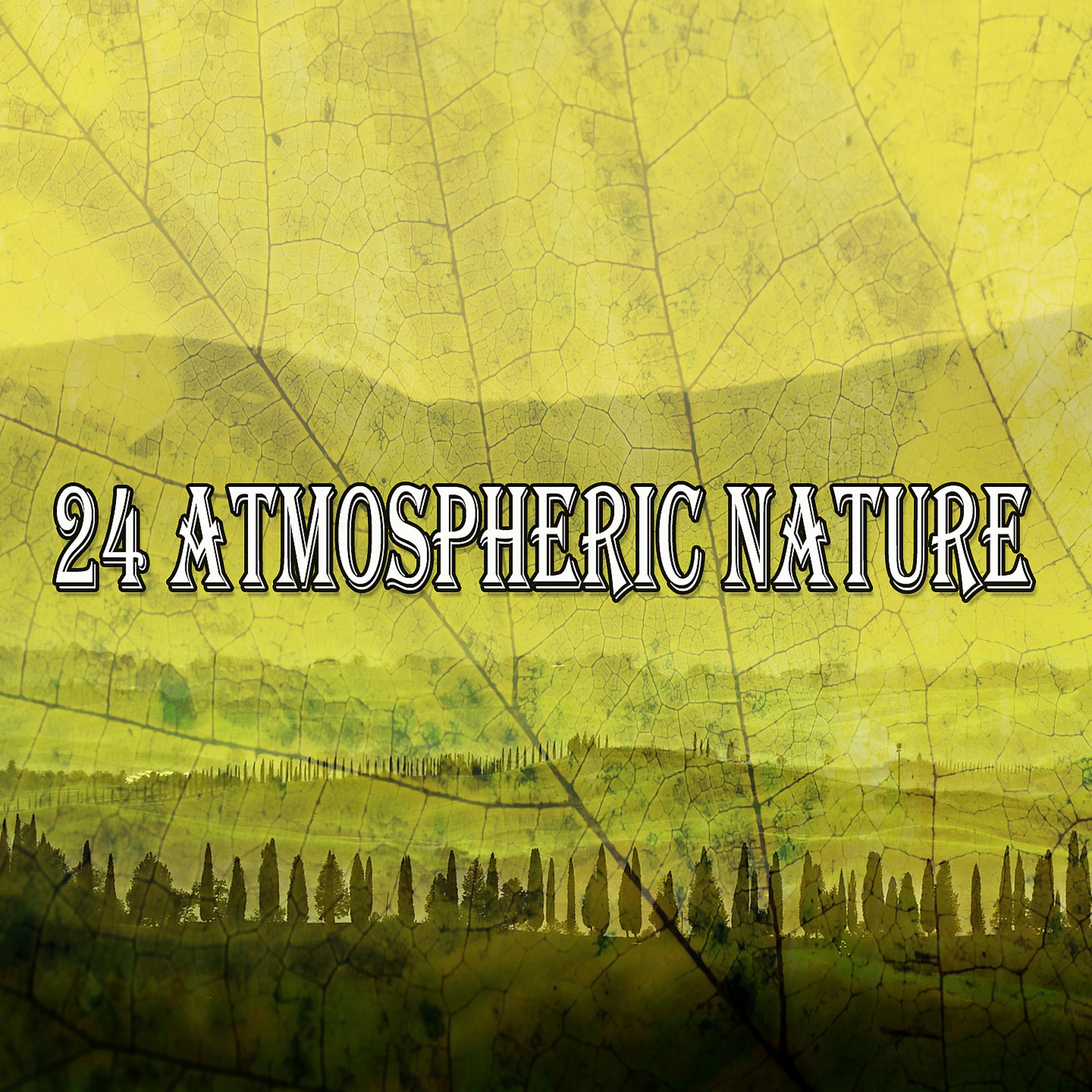 Постер альбома 24 Атмосферная природа