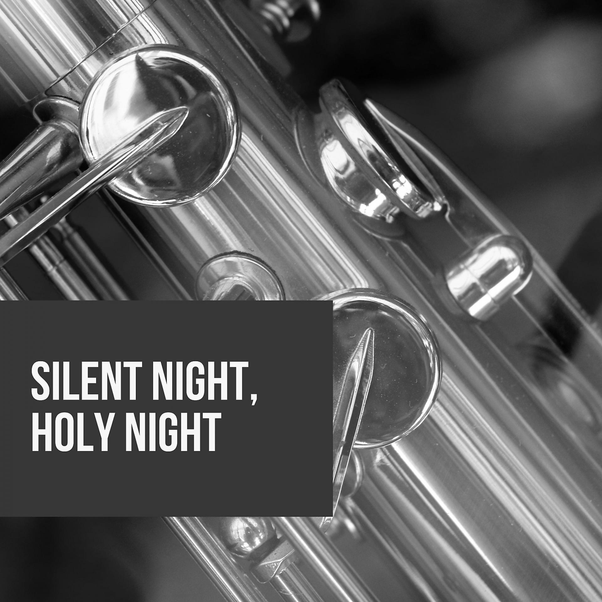 Постер альбома Silent Night, Holy Night