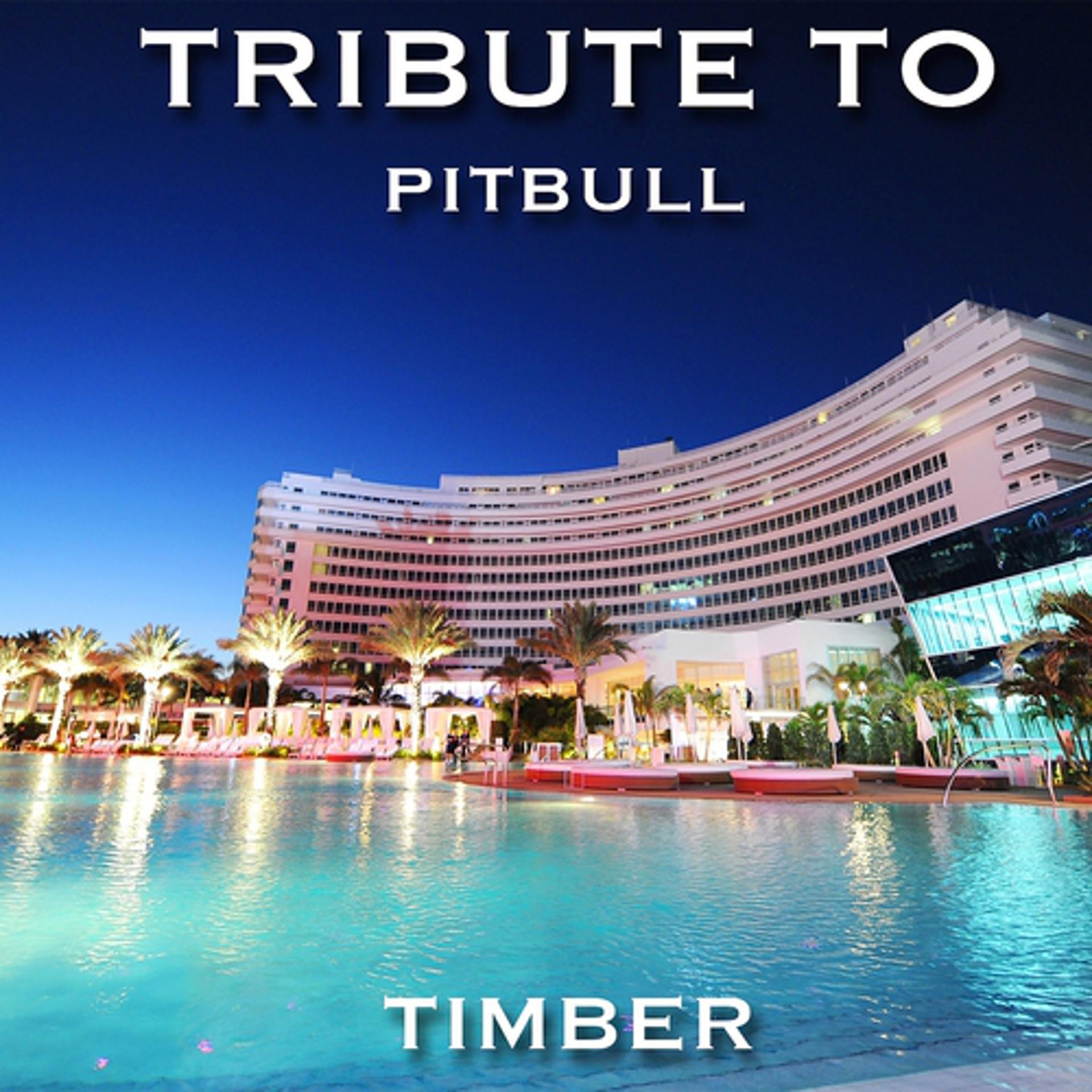 Постер альбома Tribute to Pitbull (Timber)