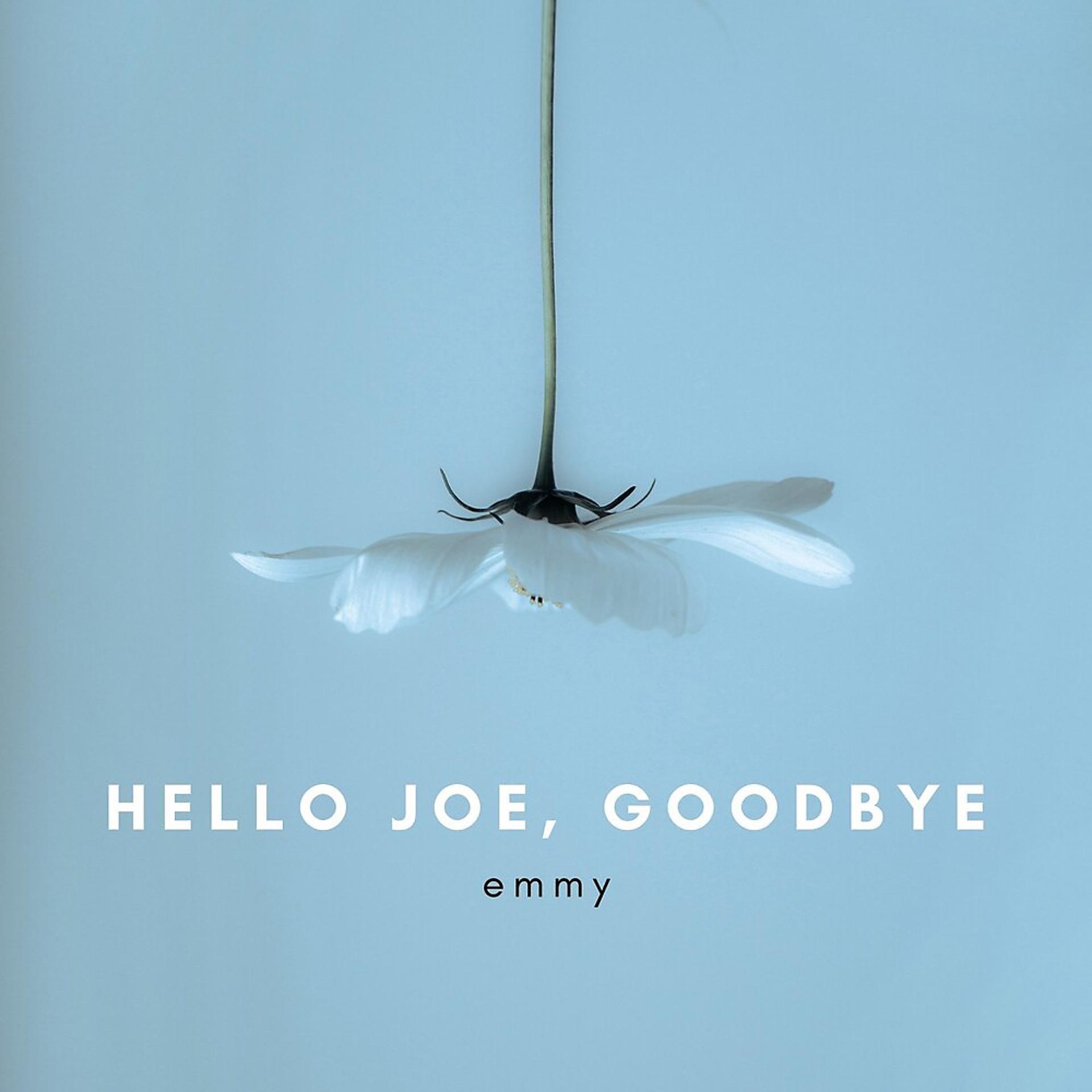 Постер альбома Hello Joe, Goodbye