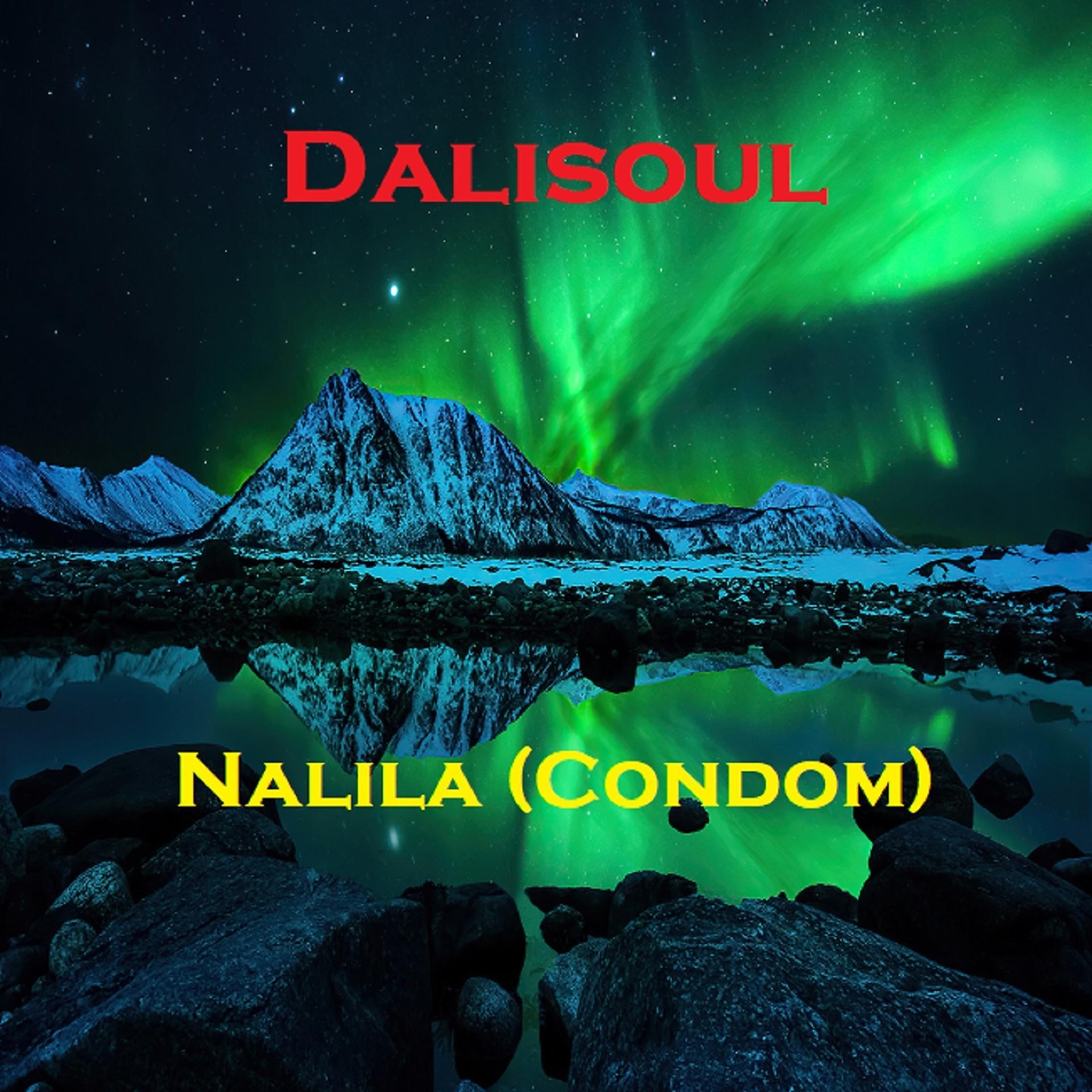 Постер альбома Nalila (Condom)