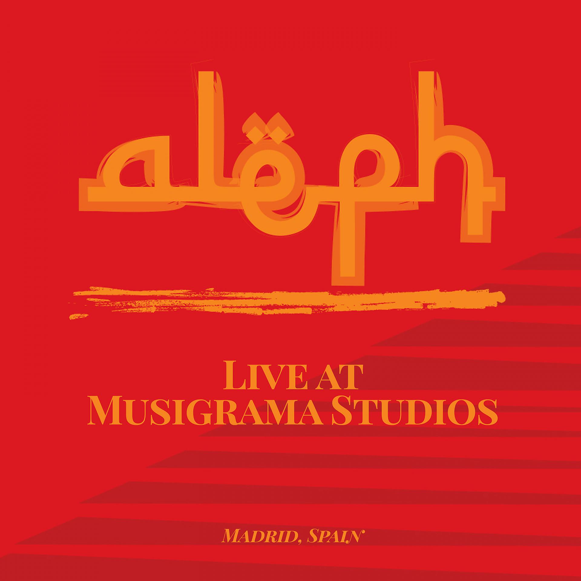 Постер альбома Aleph