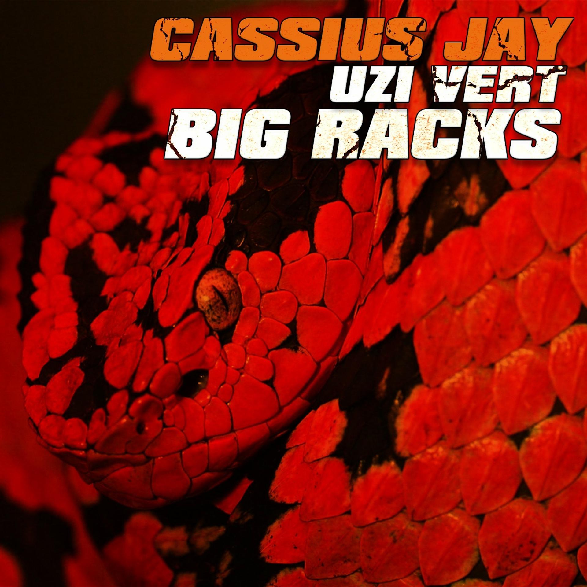 Постер альбома Big Racks (feat. Lil Uzi Vert)