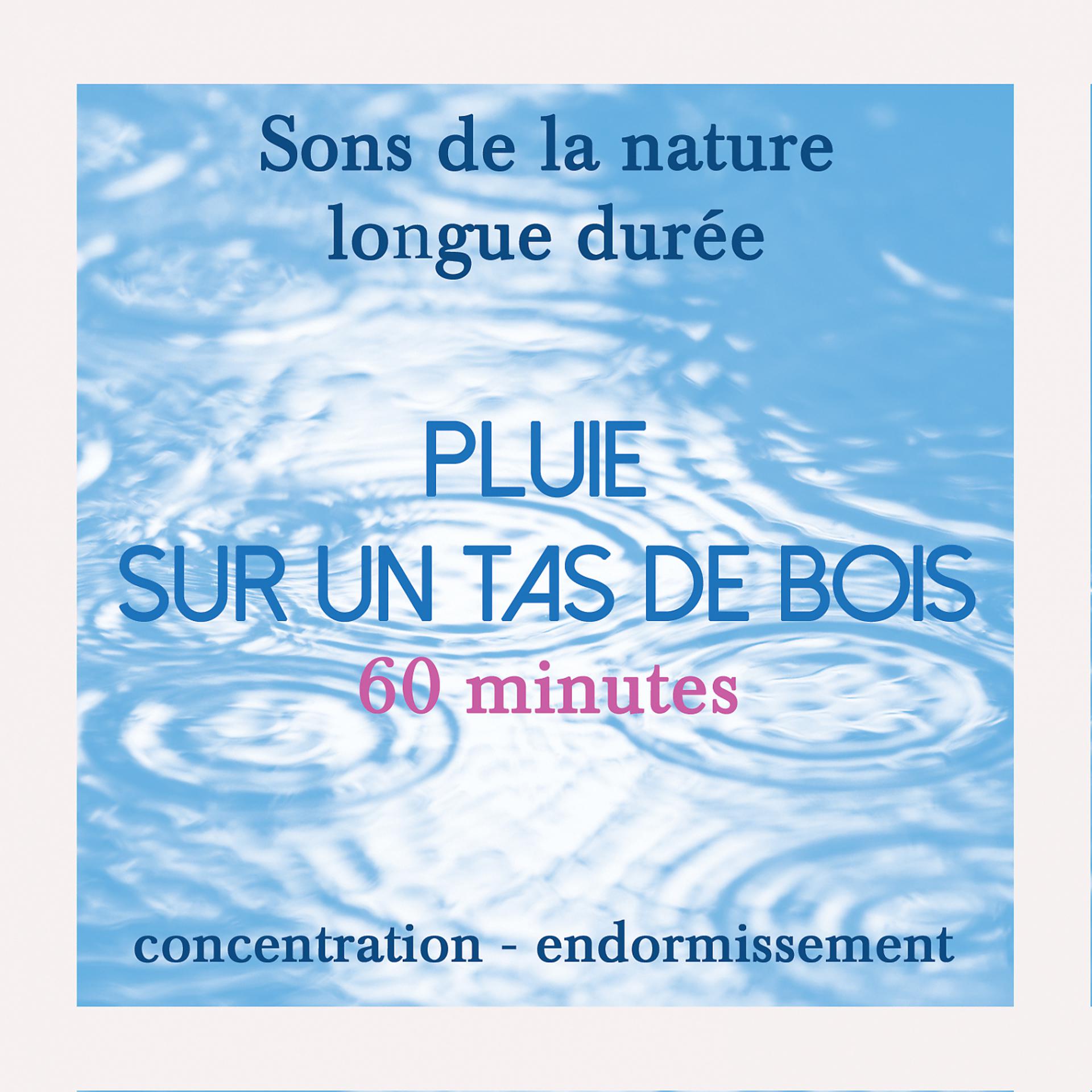 Постер альбома SONS DE LA NATURE APAISANTS DE LONGUE DURÉE : Pluie sur un tas de bois