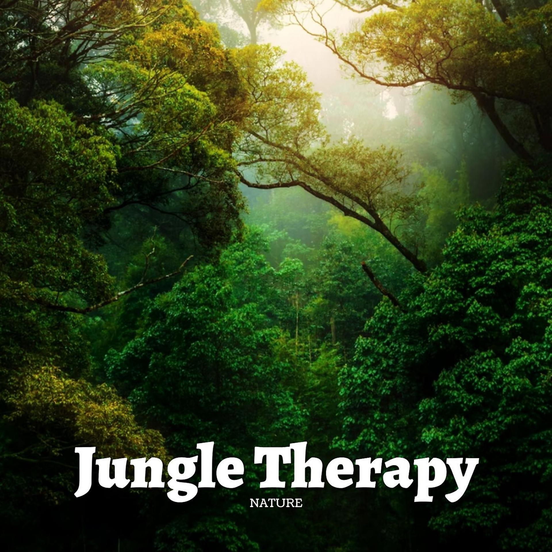 Постер альбома Nature: Jungle Therapy