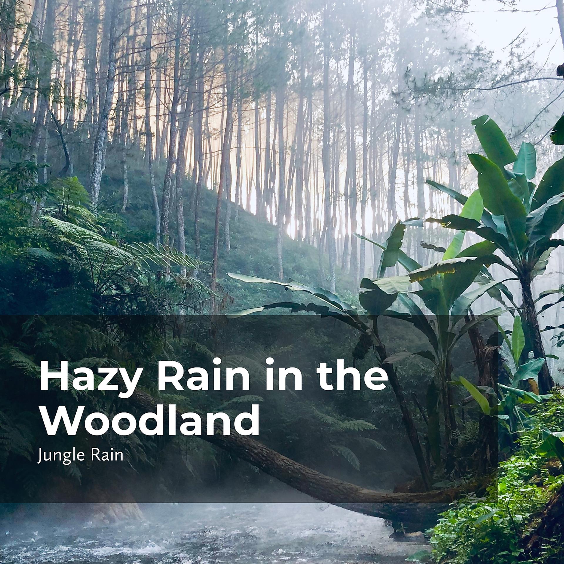 Постер альбома Hazy Rain in the Woodland