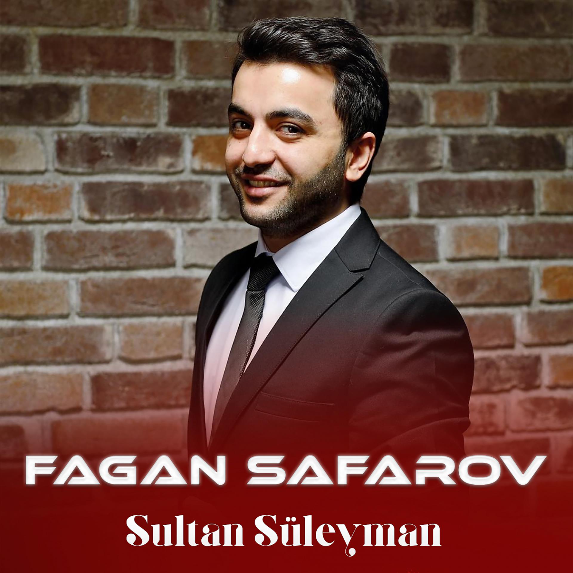 Постер альбома Sultan Süleyman